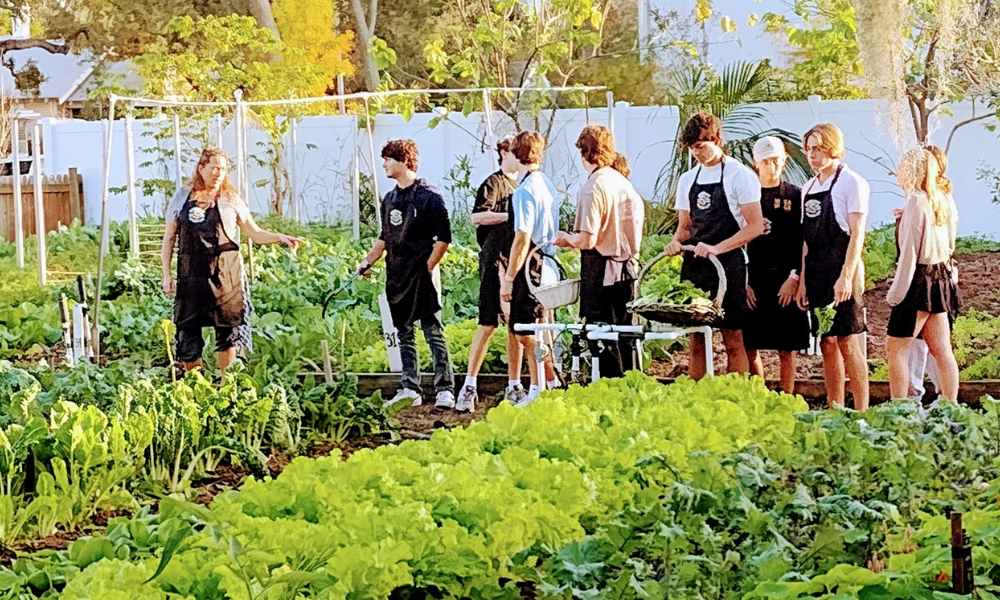 School garden classes - installed gardens at 15 schools, engaging 600+ students in planting, harvesting, and eating fresh food