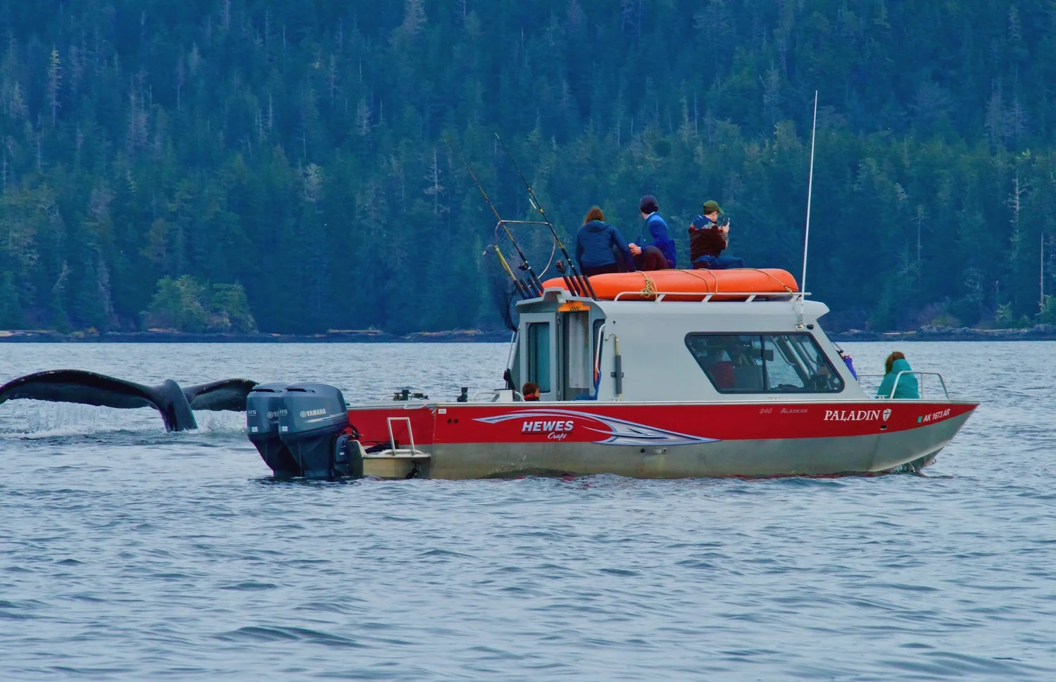 Wildlife Tours in Sitka, Alaska – Private Boat Adventures — Paladin Tours