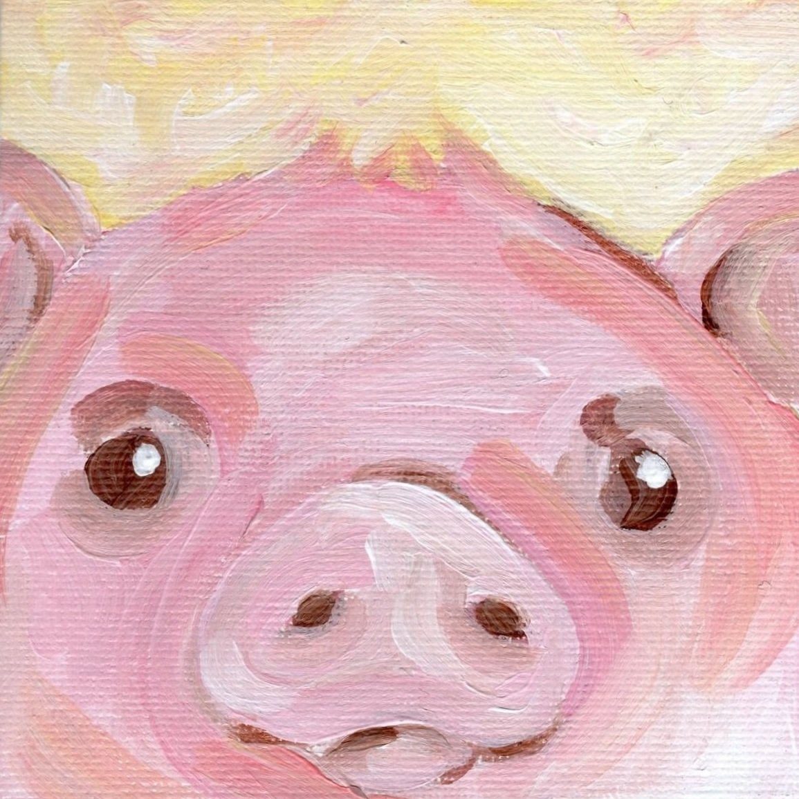 Pig.jpg