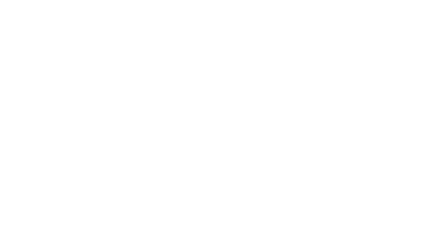 THE ESSENTIAL SOCIAL
