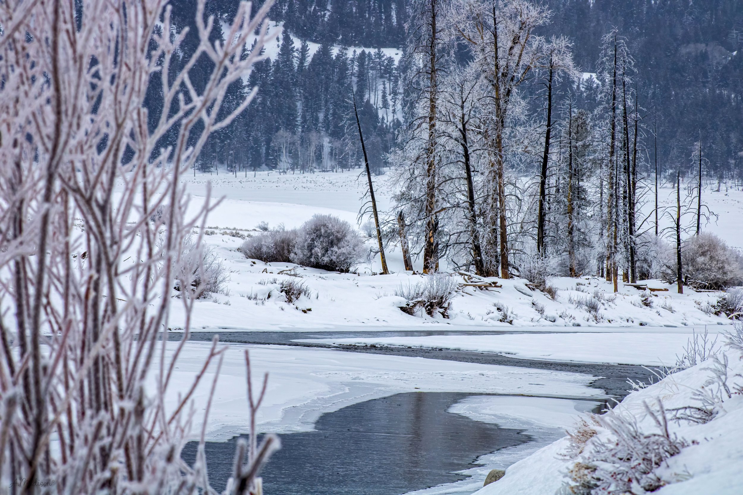 Frozen Air