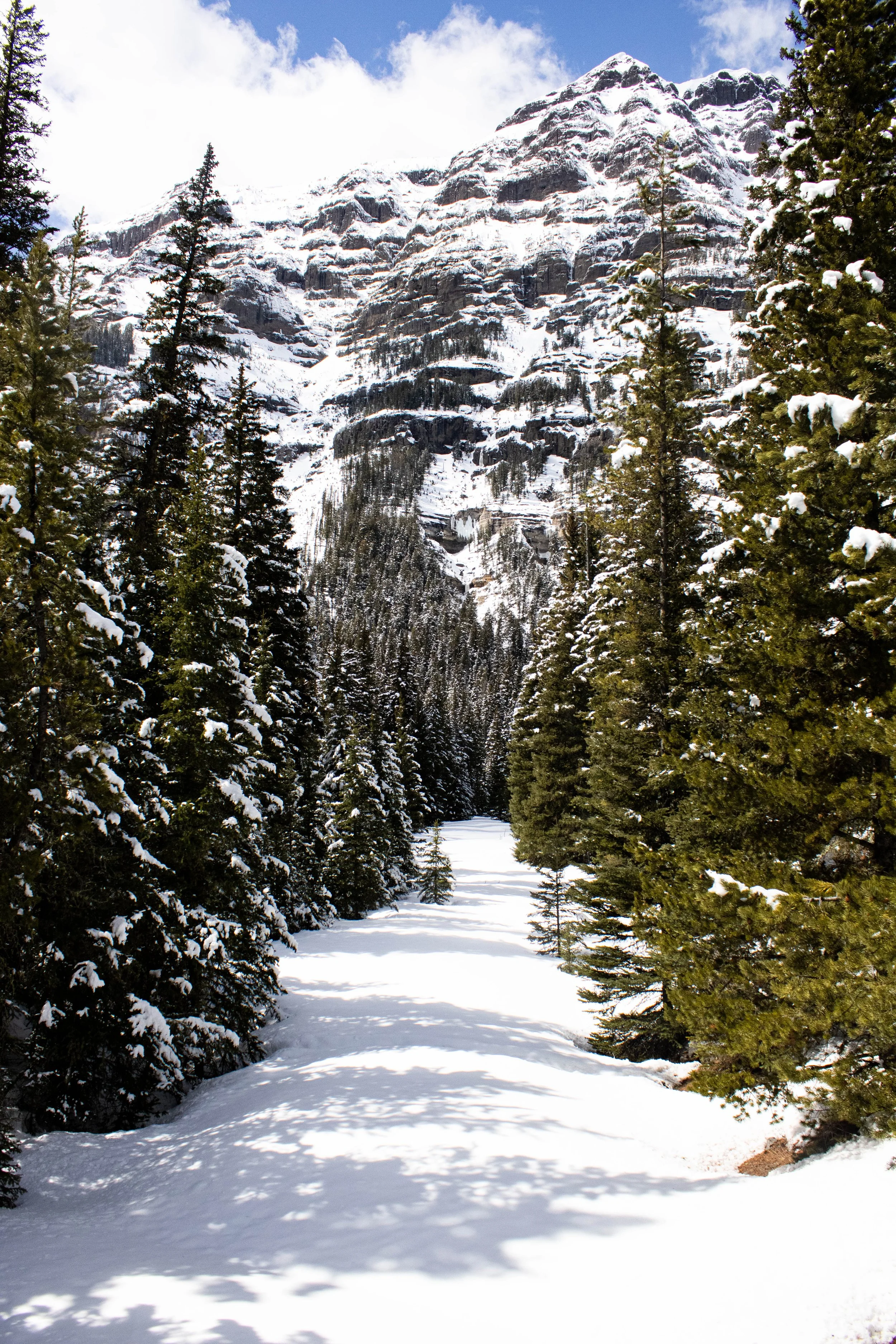 Snow Path