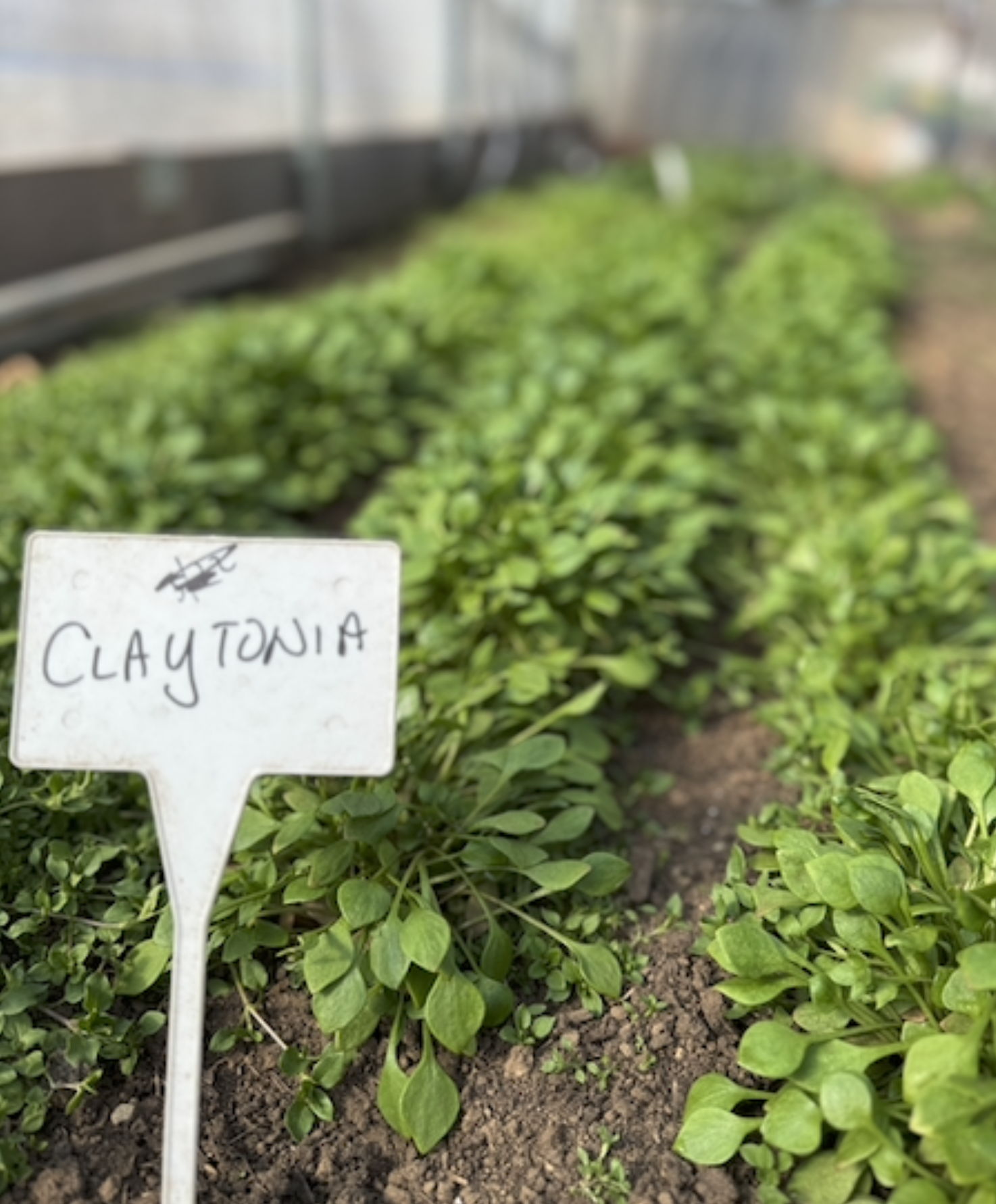 Screenshot 2026-03-30 at 10.38.54 PM.png