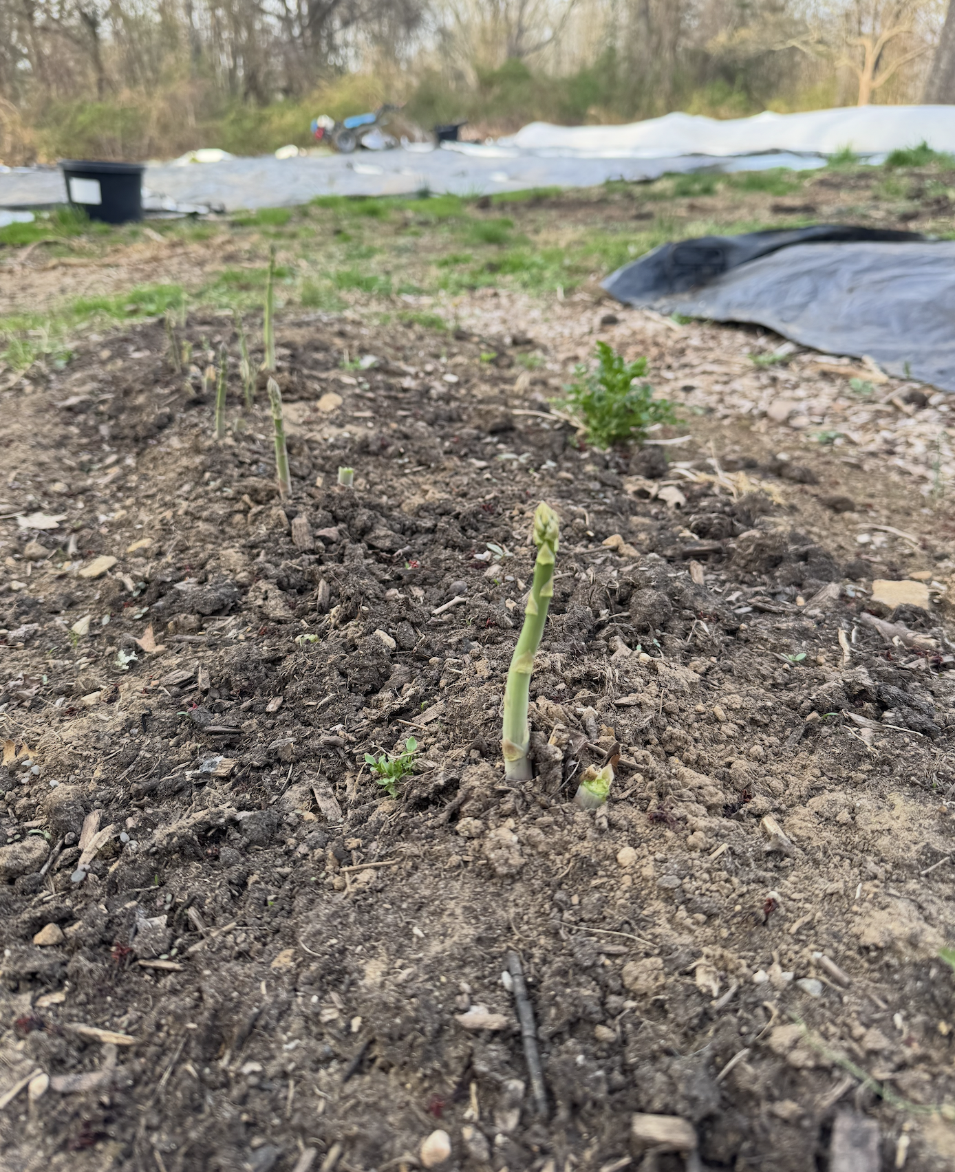 Screenshot 2026-04-18 at 8.44.14 PM.png