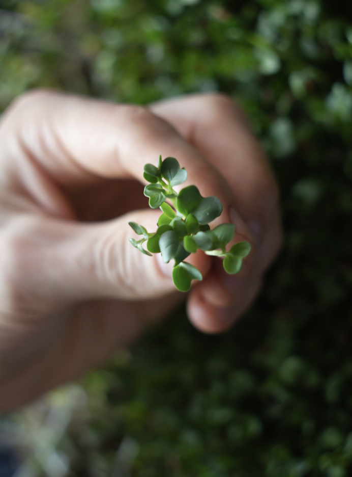 Screenshot 2026-04-18 at 8.51.37 PM.png