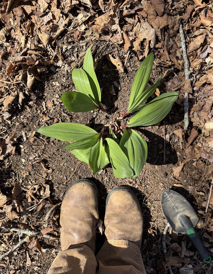 Screenshot 2026-04-18 at 8.44.42 PM.png