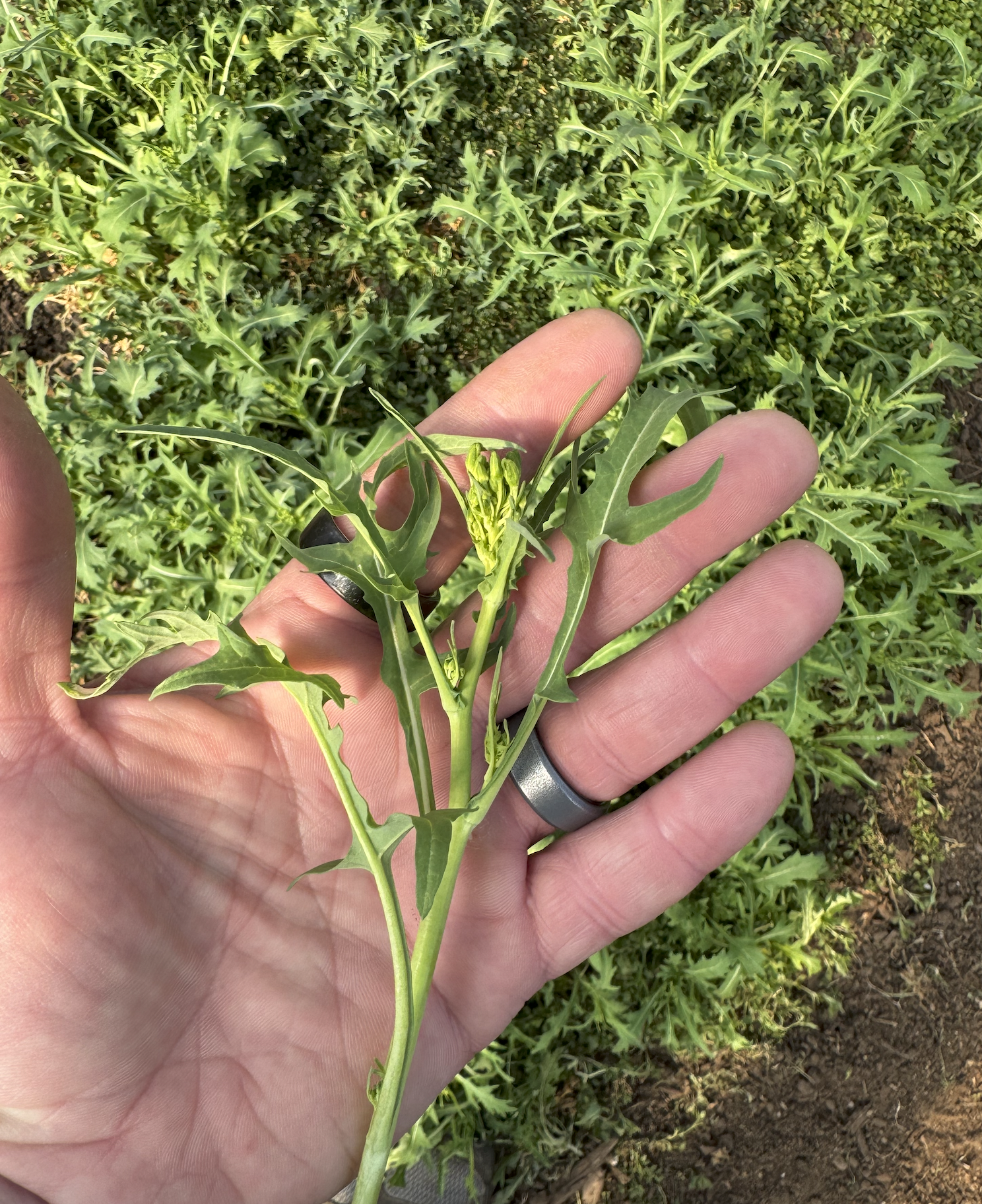 Screenshot 2026-03-30 at 8.21.35 PM.png