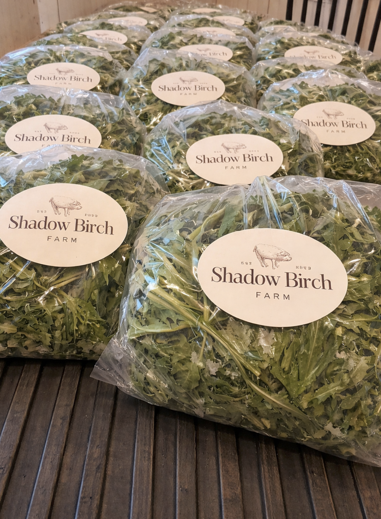 Screenshot 2026-03-30 at 8.20.37 PM.png