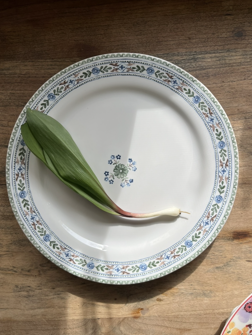 Screenshot 2026-04-18 at 8.45.29 PM.png