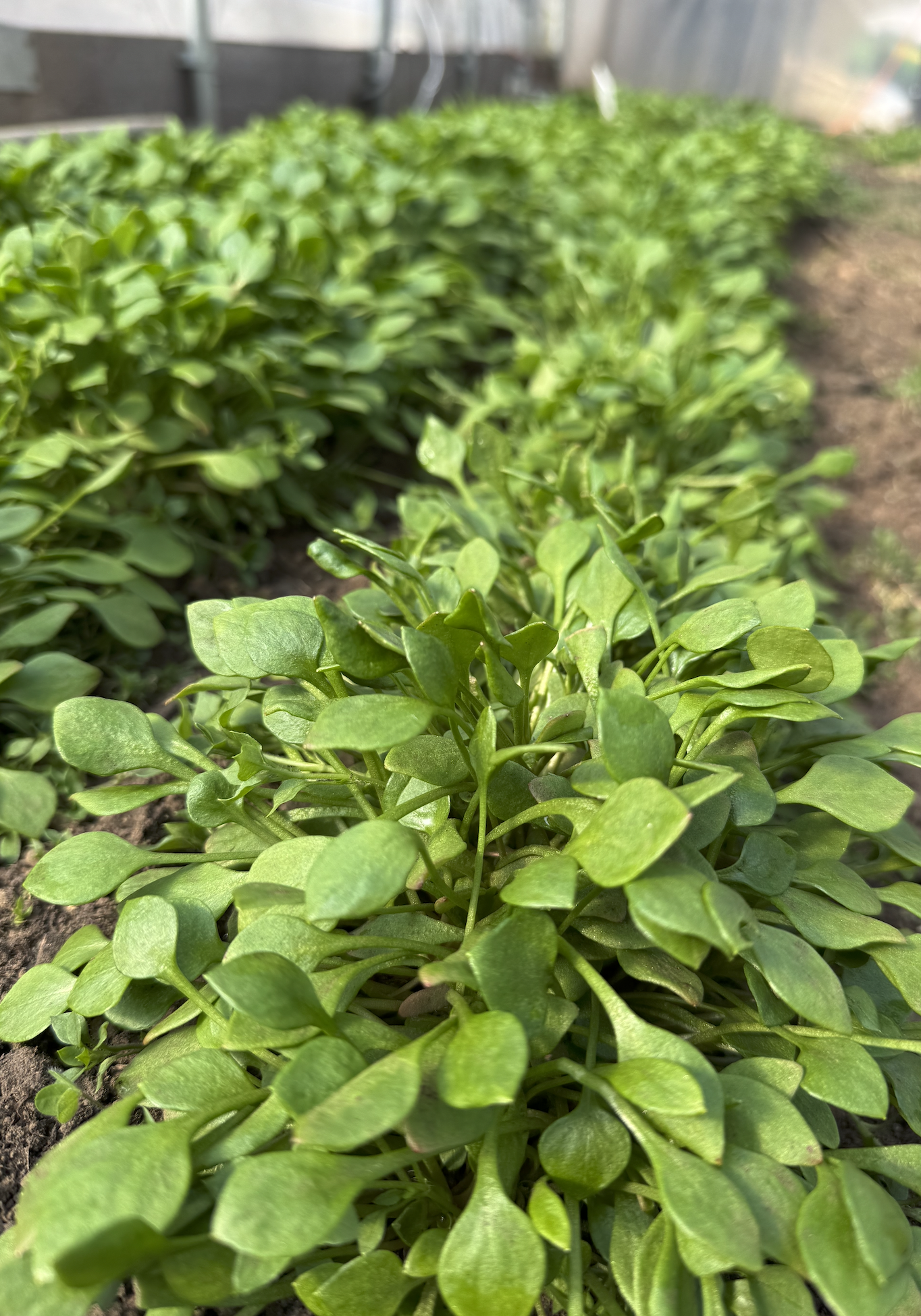 Screenshot 2026-03-30 at 10.39.06 PM.png