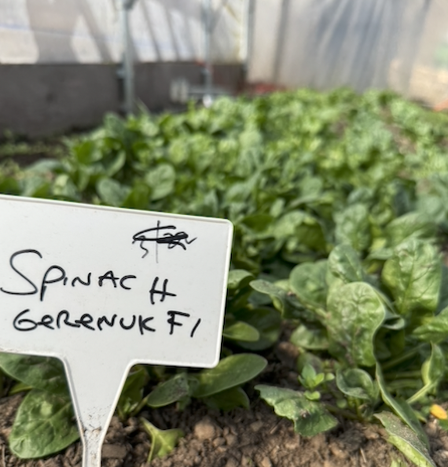 Screenshot 2026-03-30 at 10.25.42 PM.png