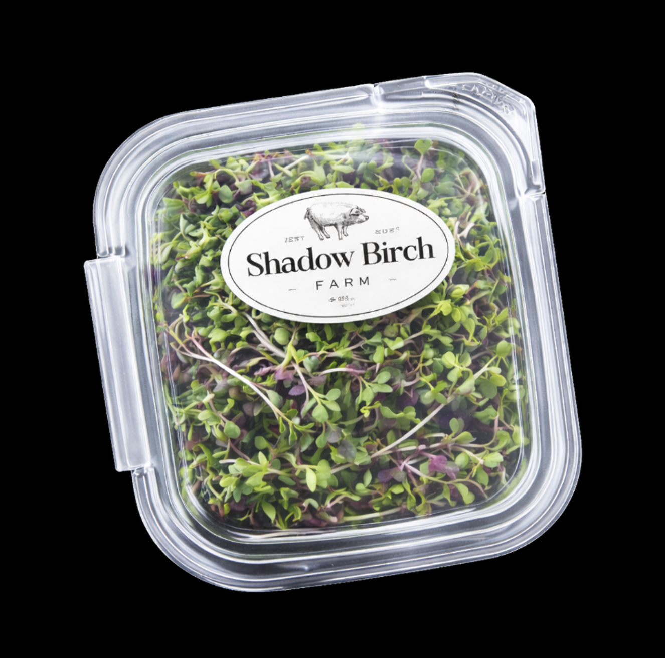 Screenshot 2026-04-18 at 9.18.43 PM.png