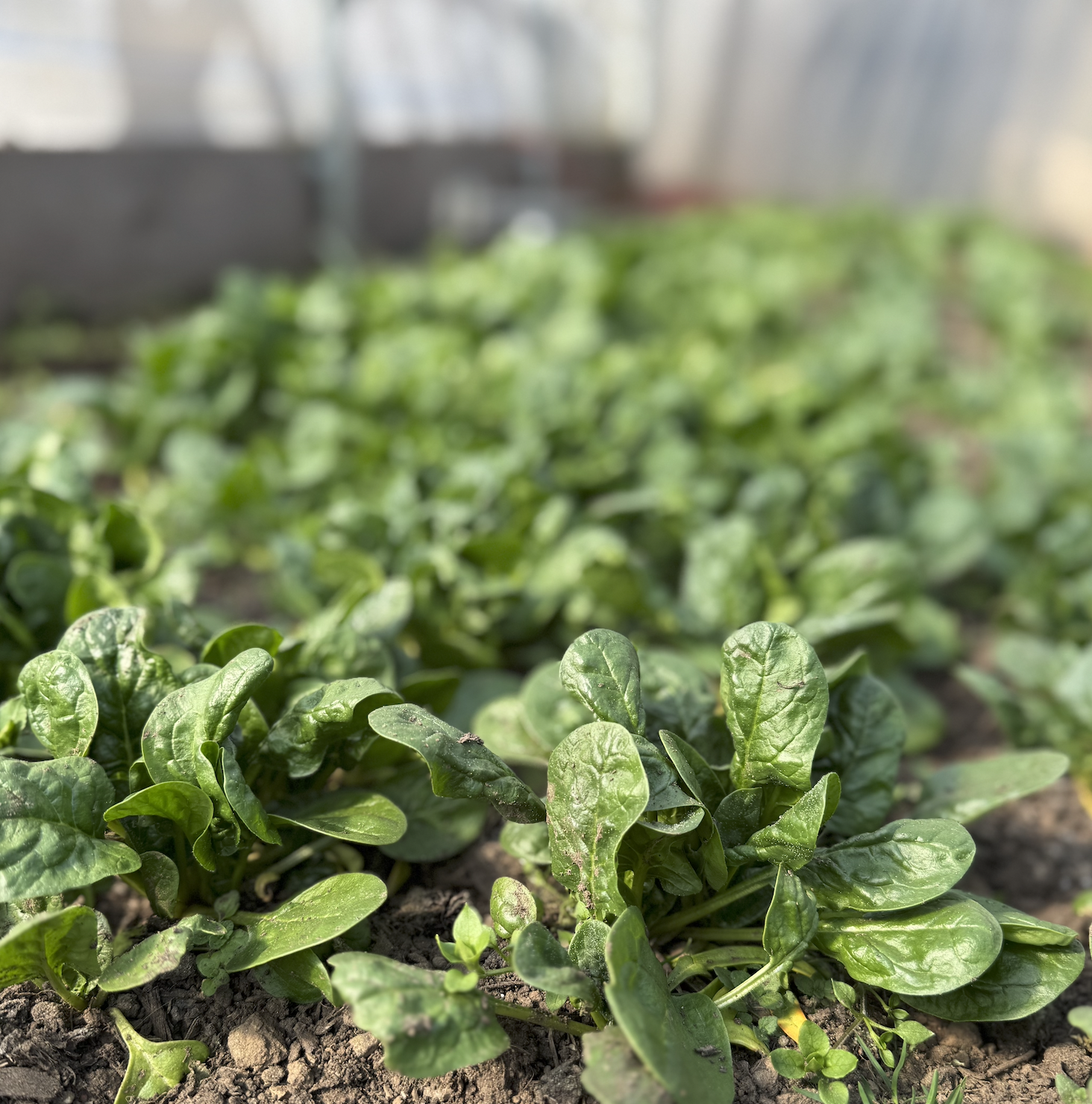 Screenshot 2026-03-30 at 10.24.50 PM.png