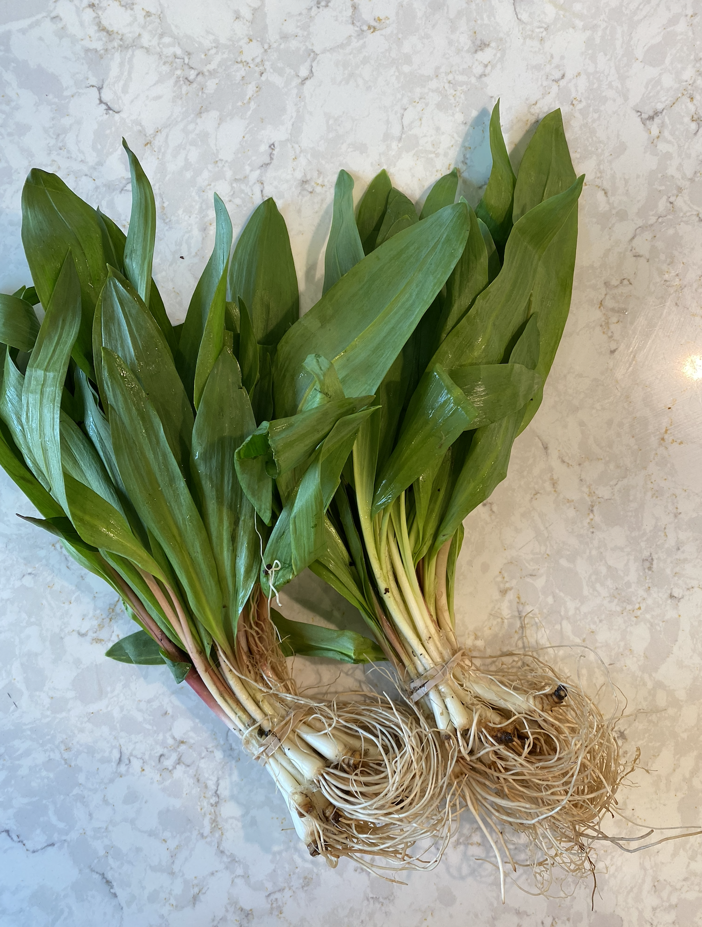 Screenshot 2026-04-18 at 8.43.30 PM.png