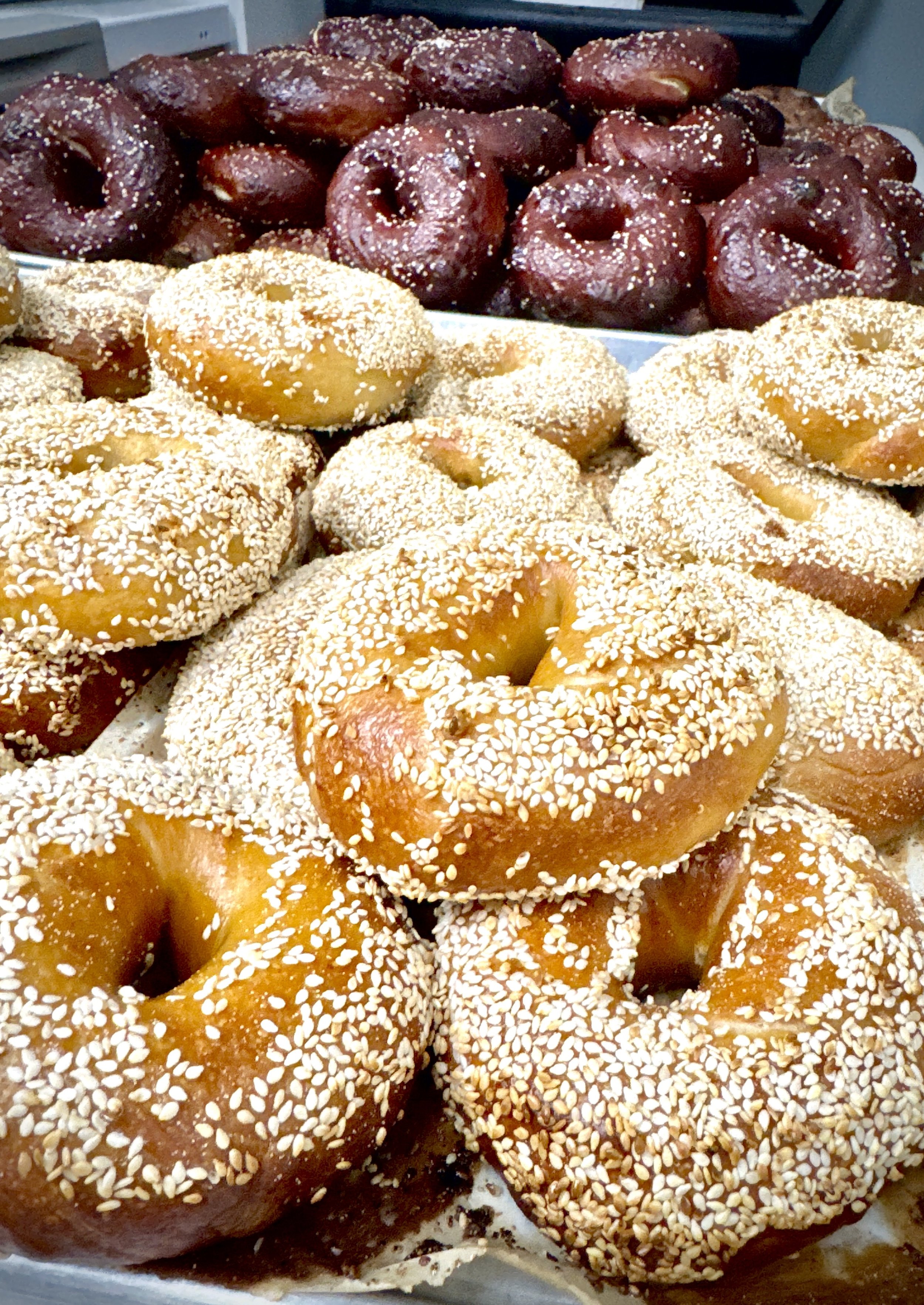 Toasted Sesame Bagel