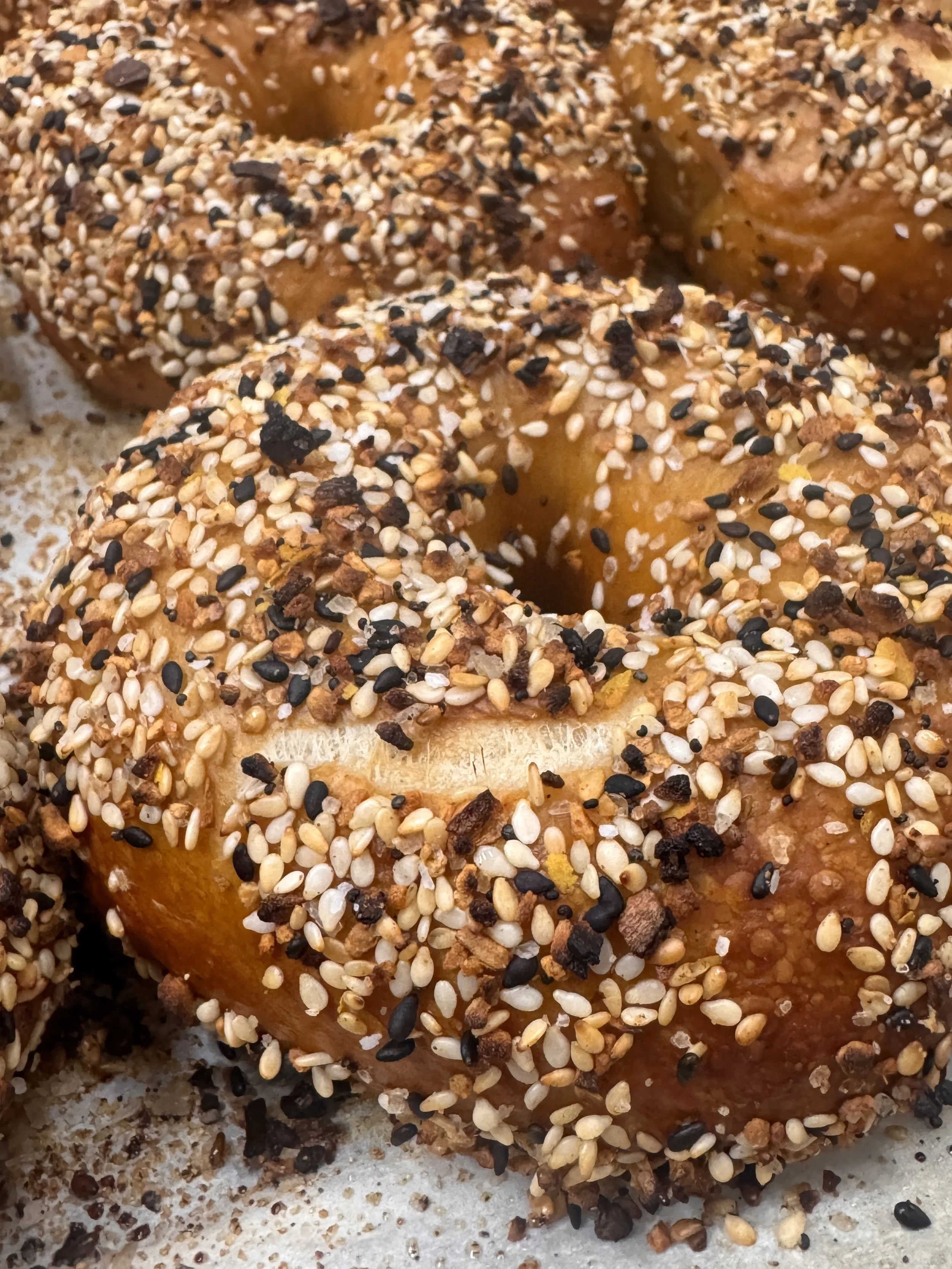 "338" - Everything Bagel