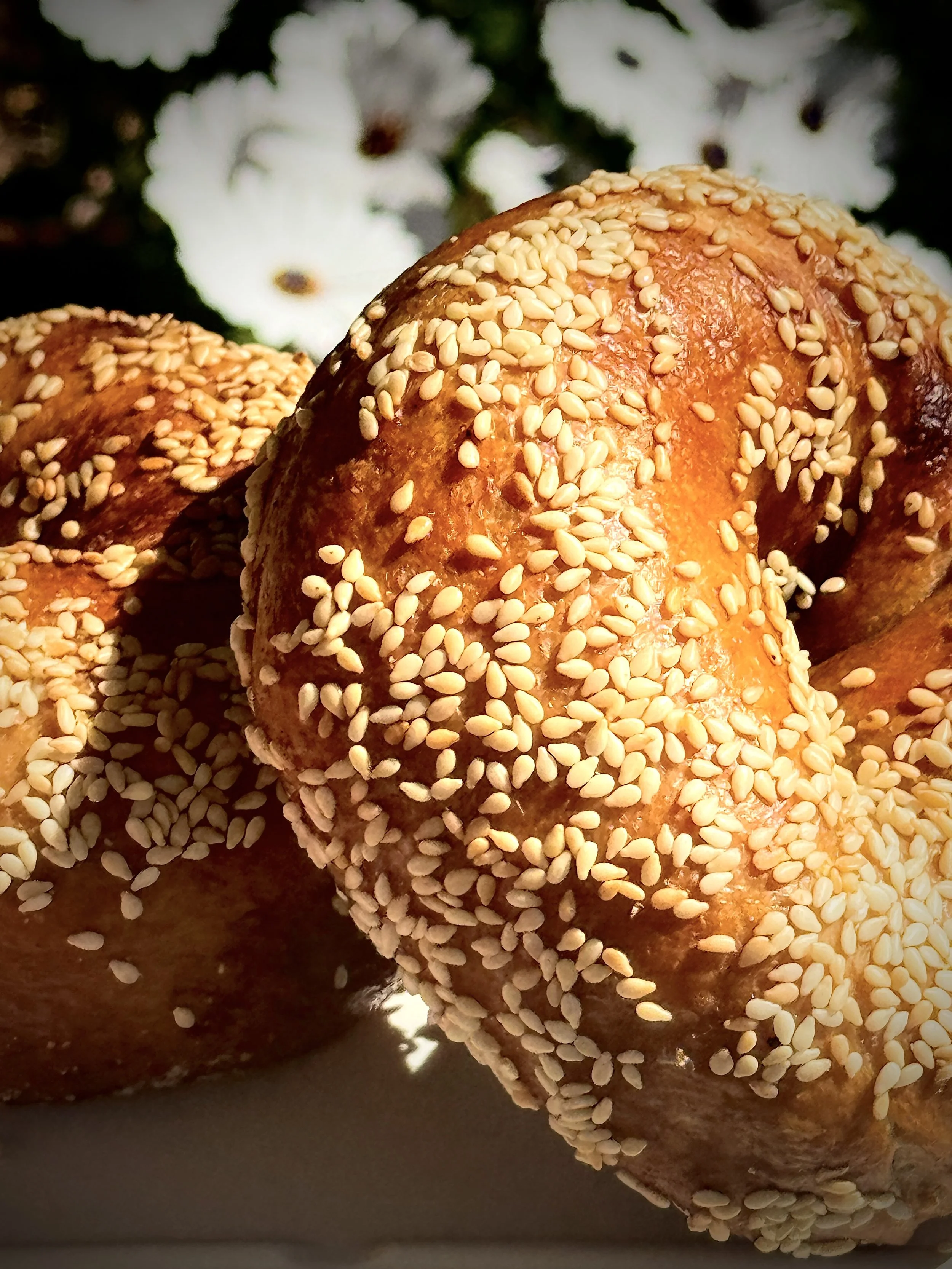 "Says You!" - Sesame Bagel