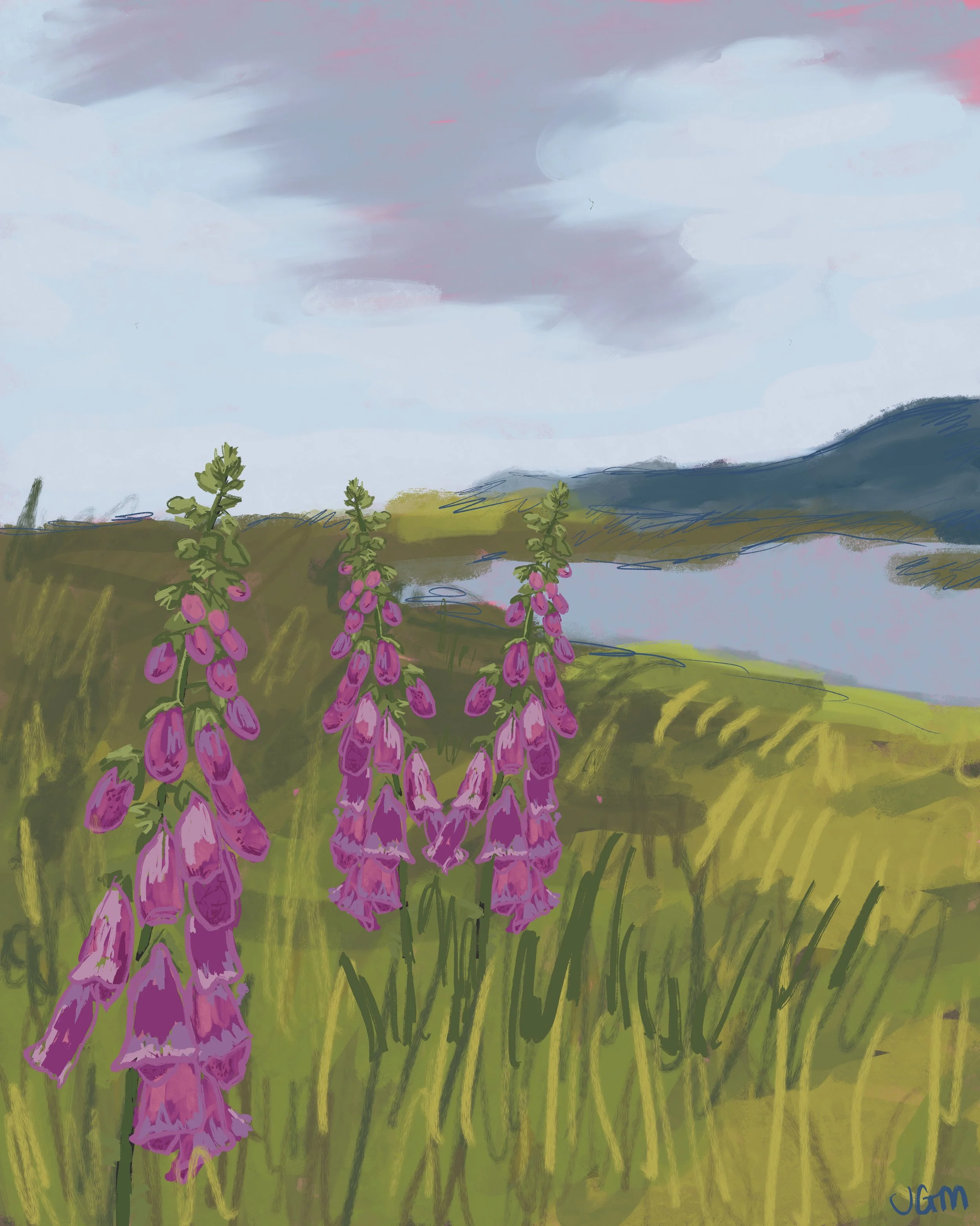 Foxgloves_In_Scotland.jpg
