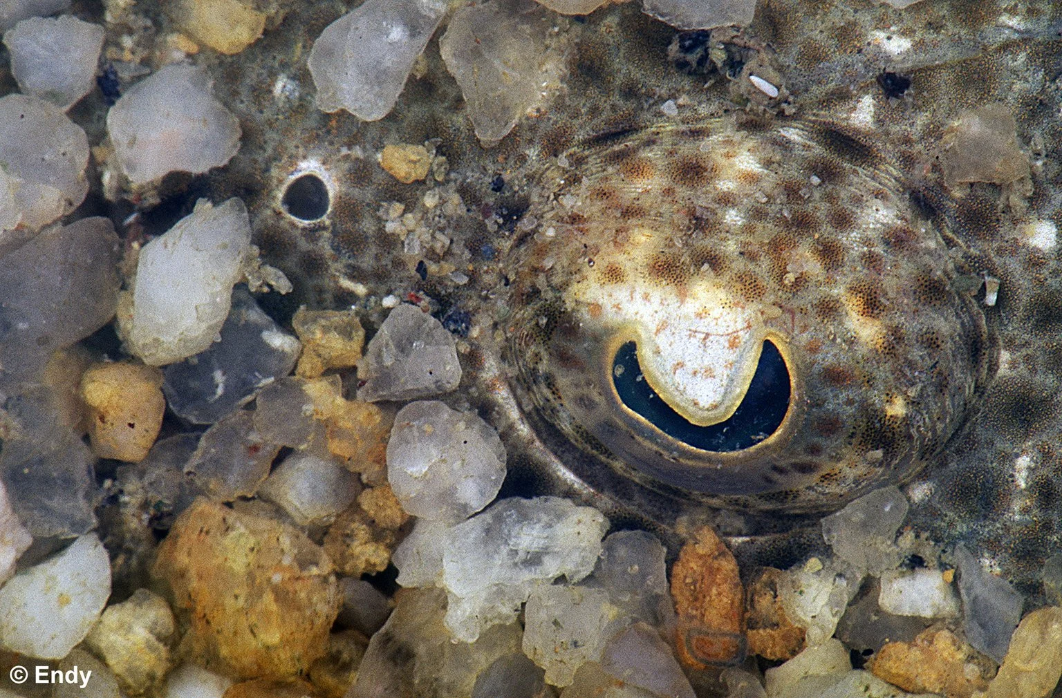 ND - eye in the sand  1536 - pasir ris beach.jpg