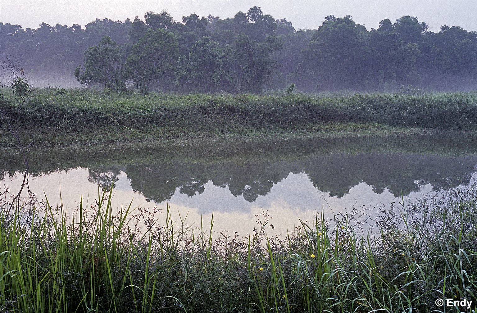 ND - pond reflection  1536 - tampines eco green.jpg