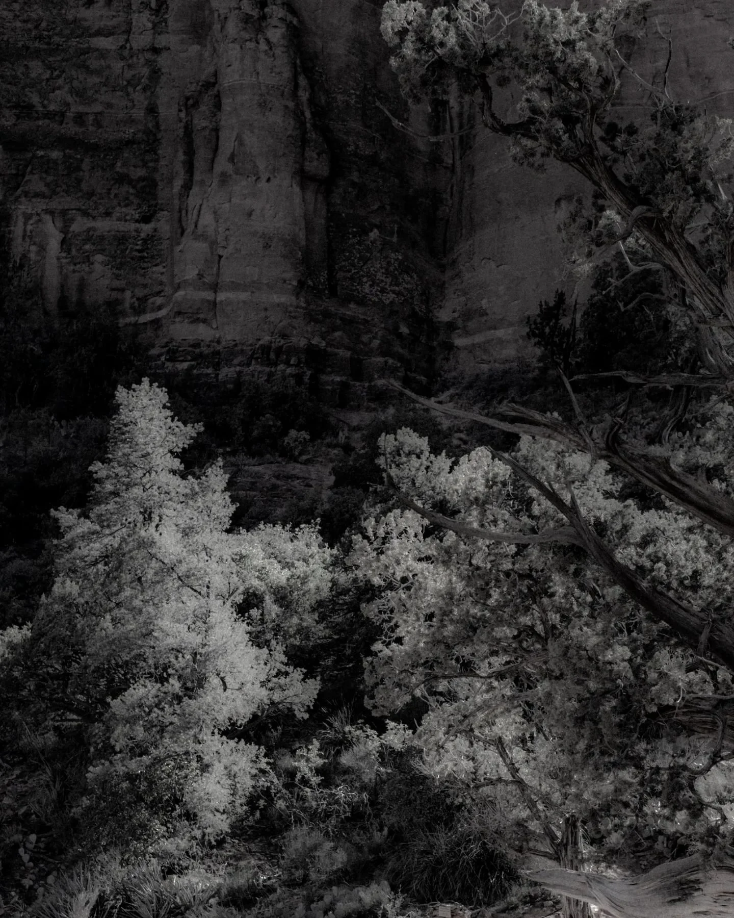 Sedona, April 8, 2024