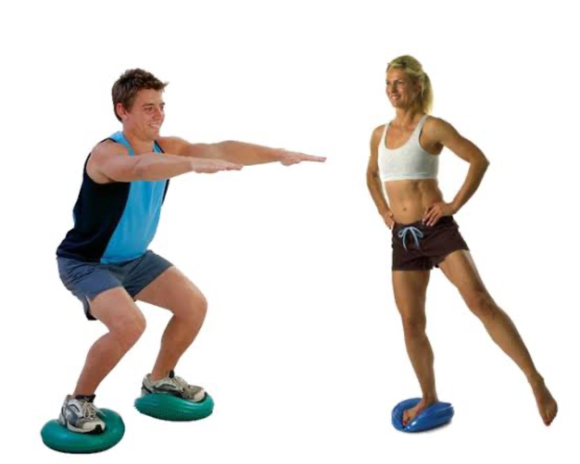balance disc.jpg