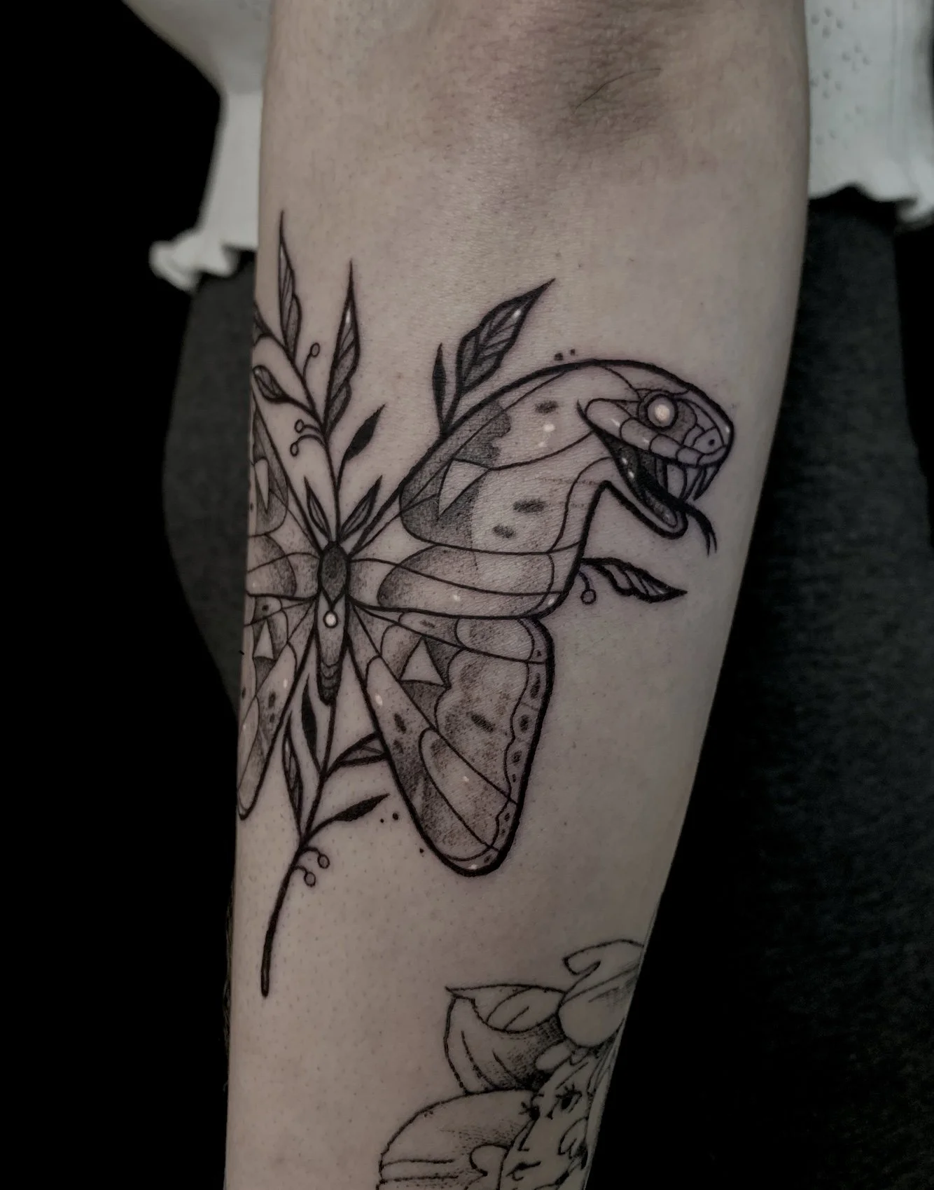 Black and gray tattoo of a butterfly with detailed wings and a snake intertwined with the butterfly on a person's arm.