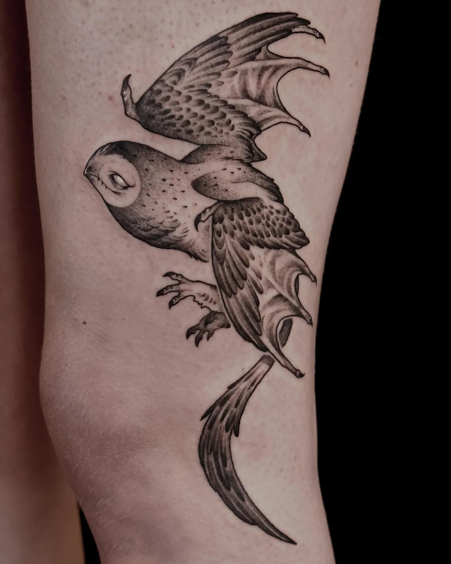 A reworked flash piece from 2 years ago for my close friend Lizzy! I&rsquo;ve been holding onto this guy for her for a while and we were finally able to get it done!

#fantasytattoo #dragontattoo #blackworkerstattoo #illustrativetattoo #canadatattoo