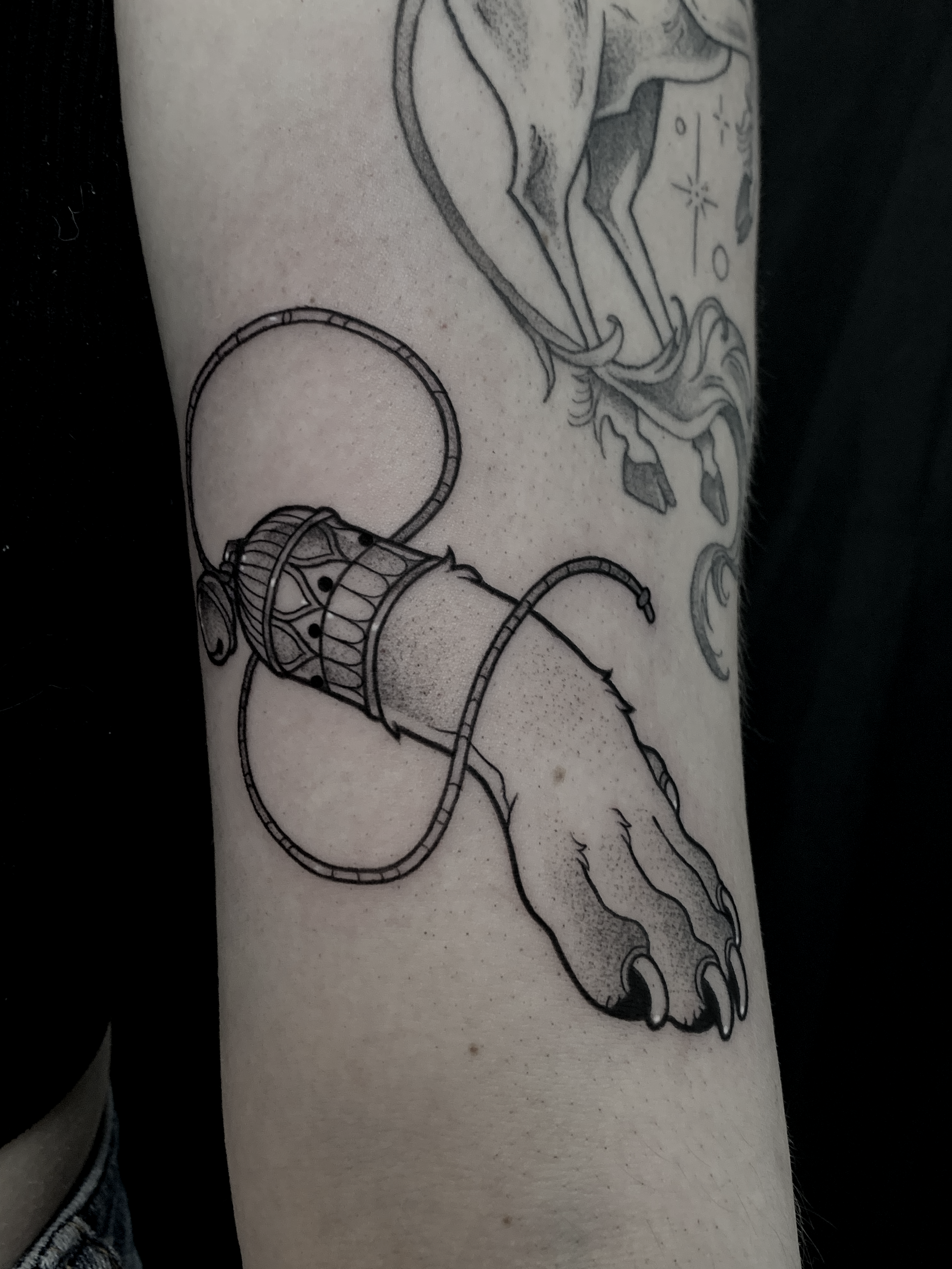 Tattoo of a lucky animal paw with a decorative element around its wrist and a thin flowing string or ribbon extending from it.