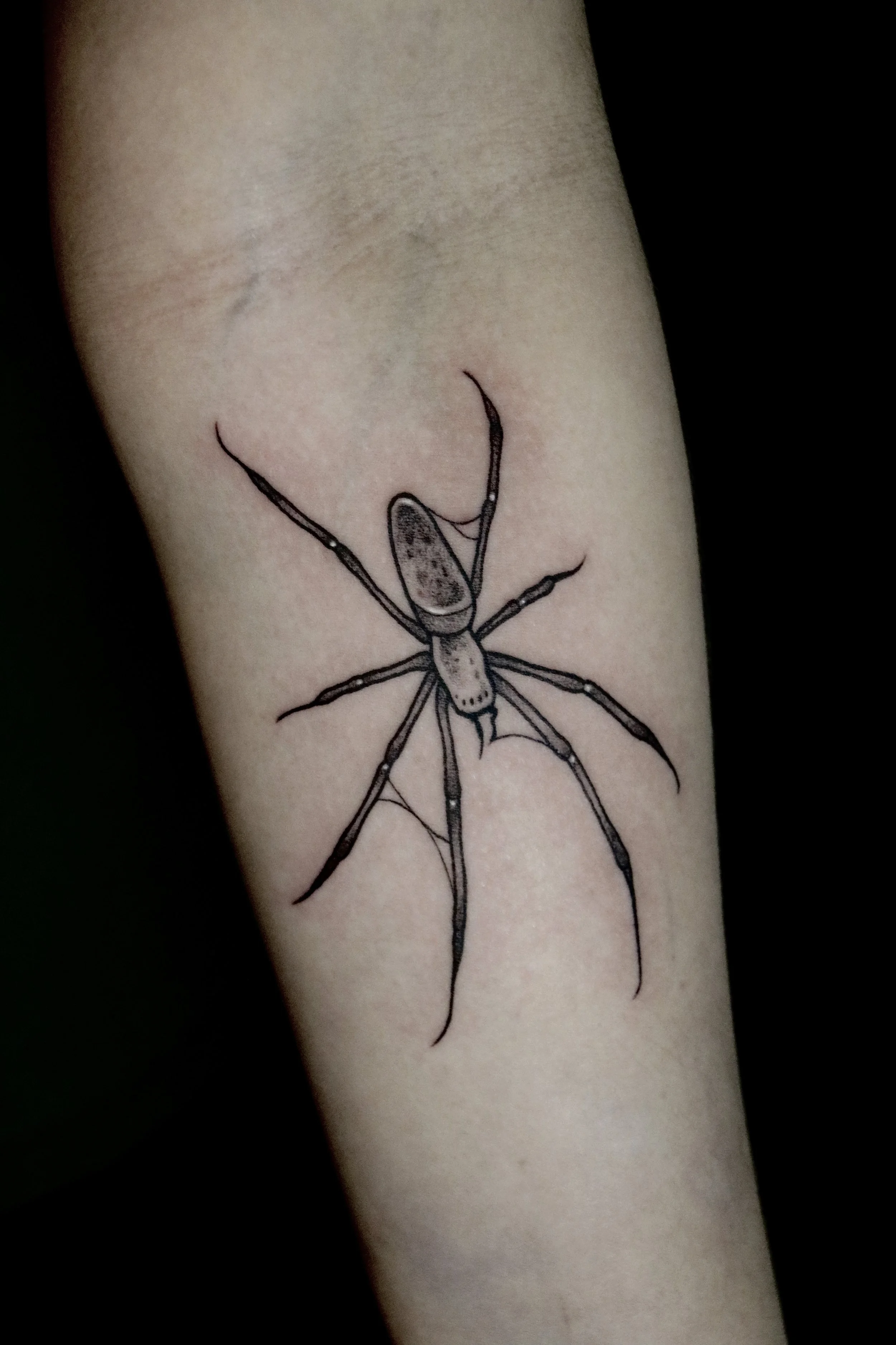 Tattoo of a spider on a person's arm.