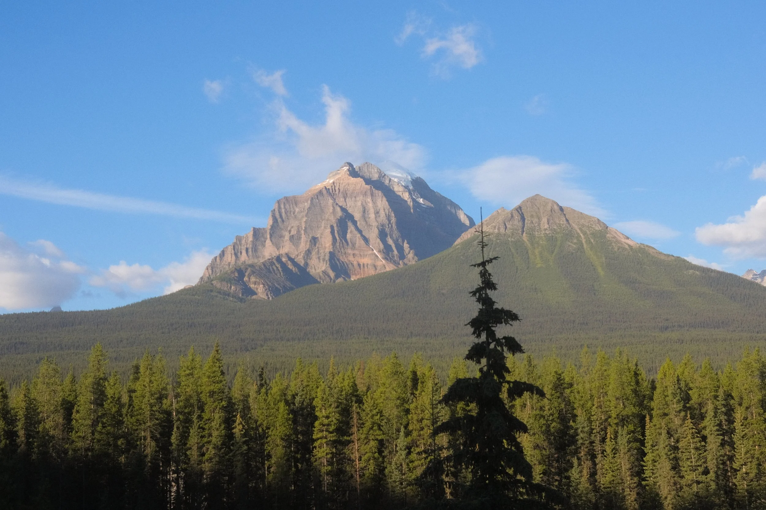 DSCF6916.jpg
