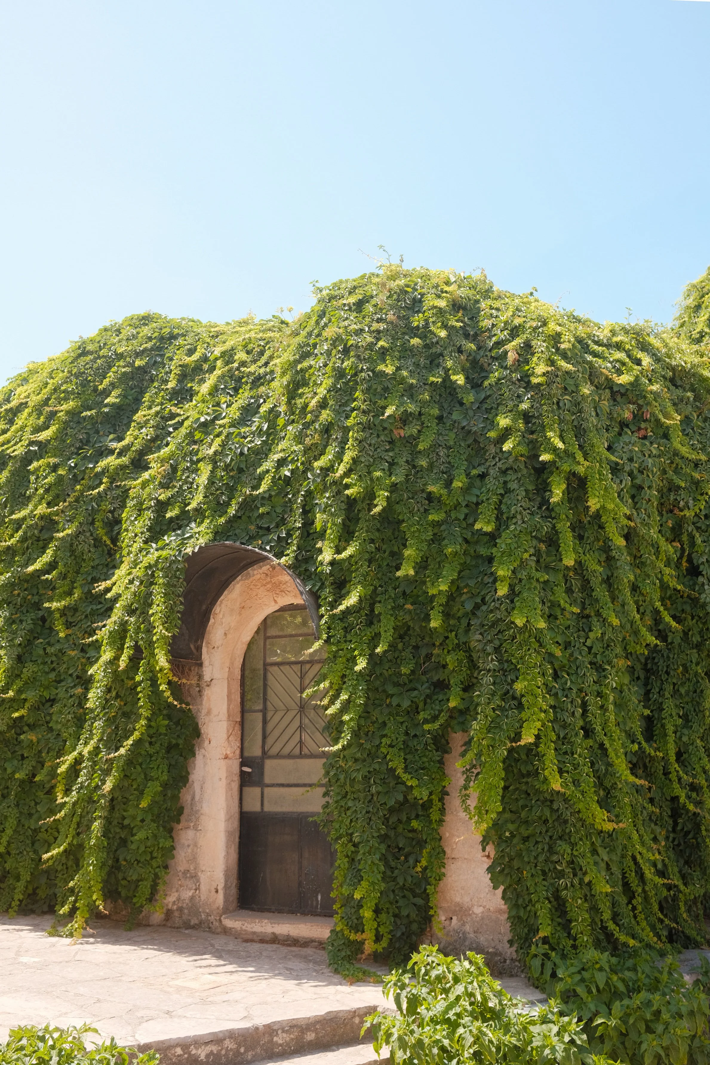 DSCF5086-Edit copy.jpg