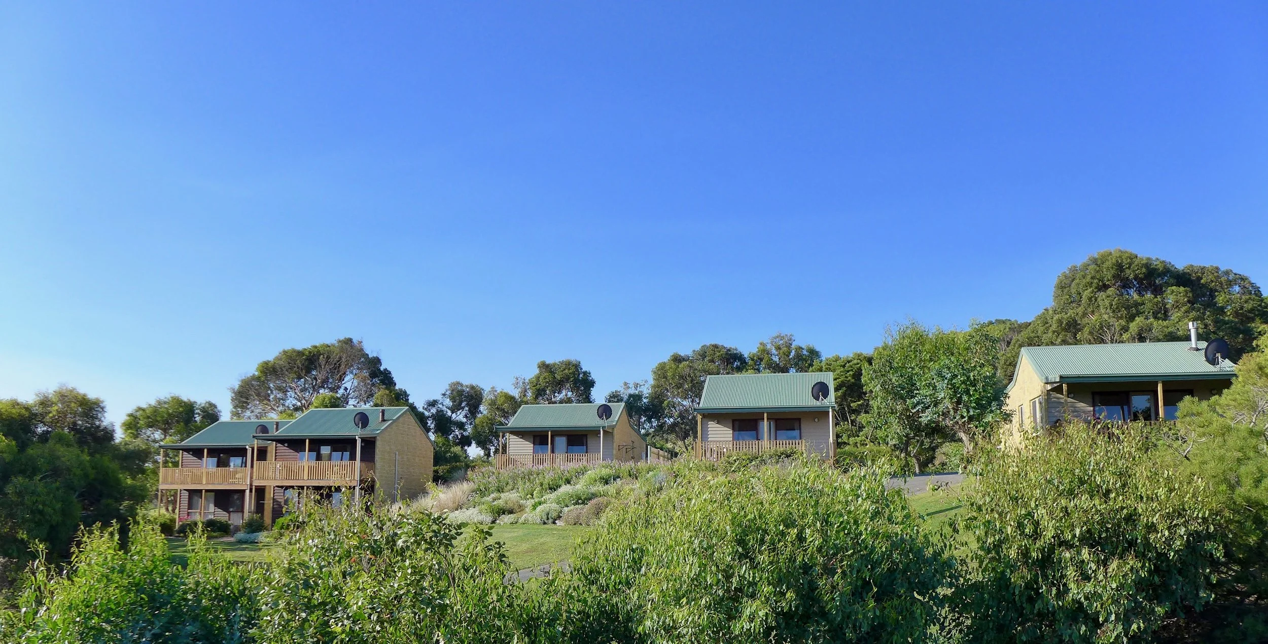 Daysy Hill Cottages