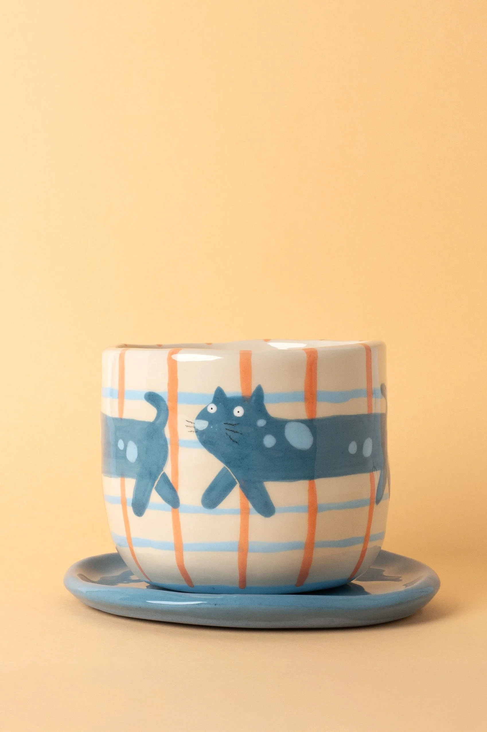 Pot de fleur gato loco