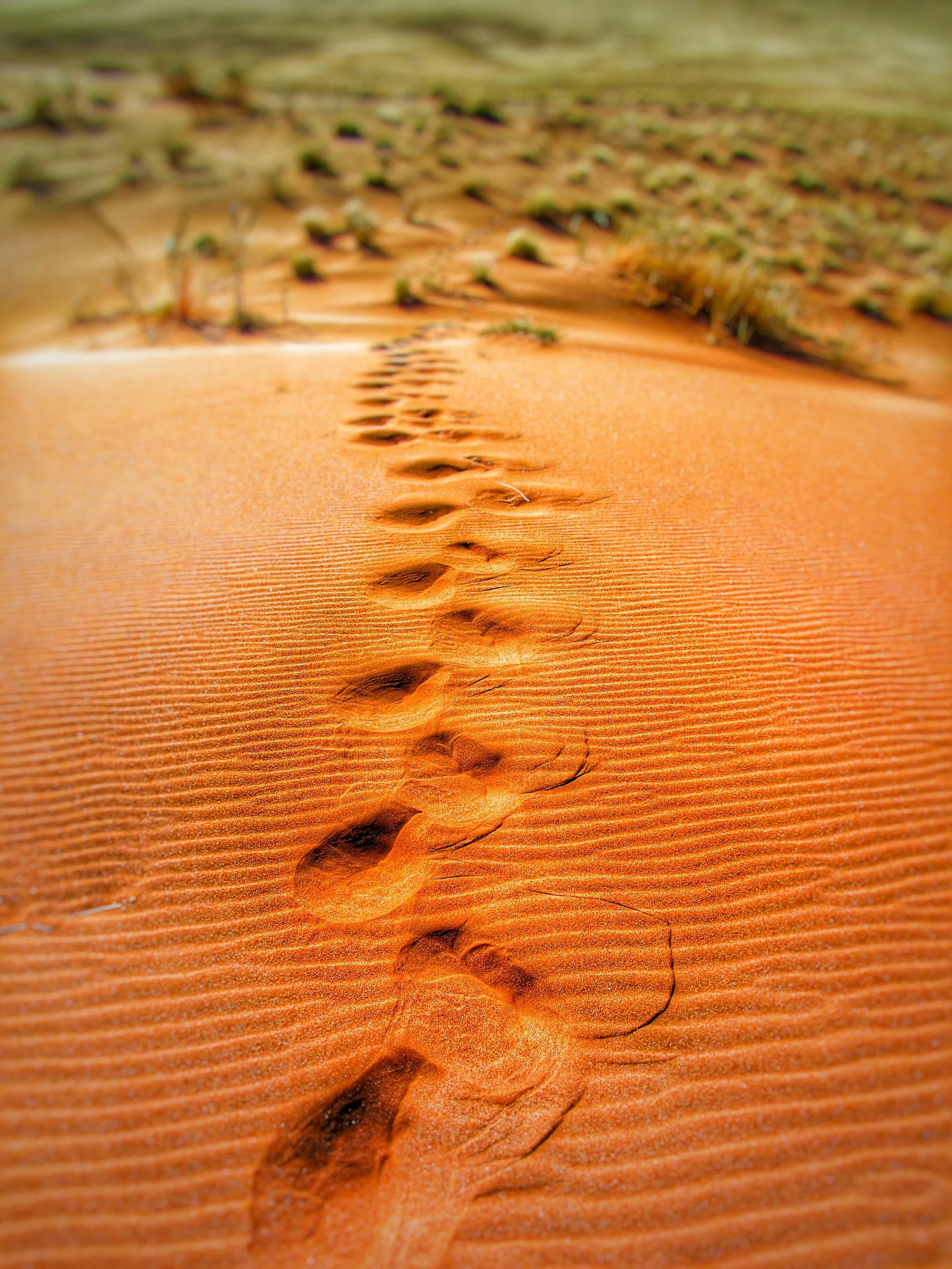 Turbulence, Transitions & Turning Points