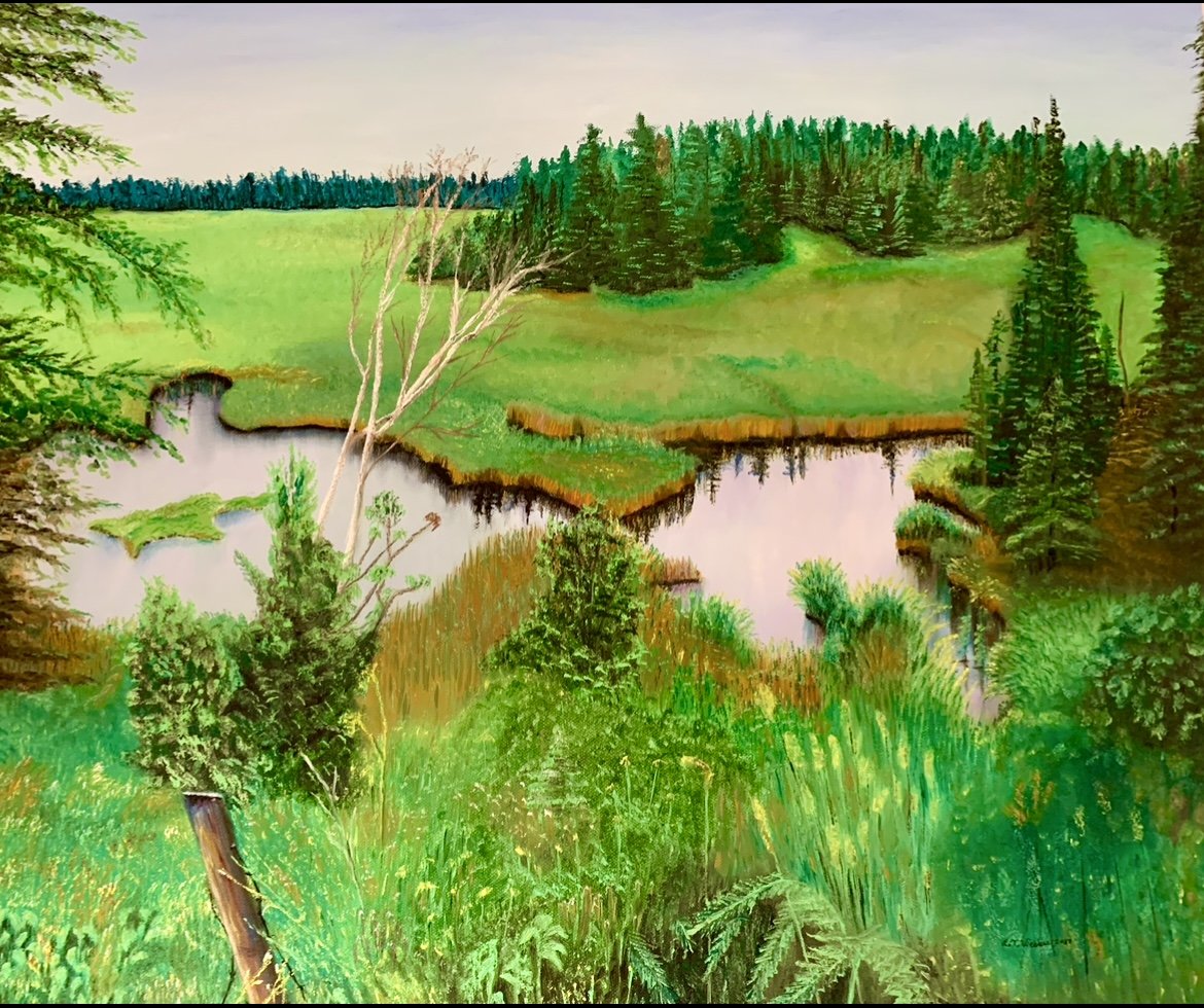 Twin swamps
