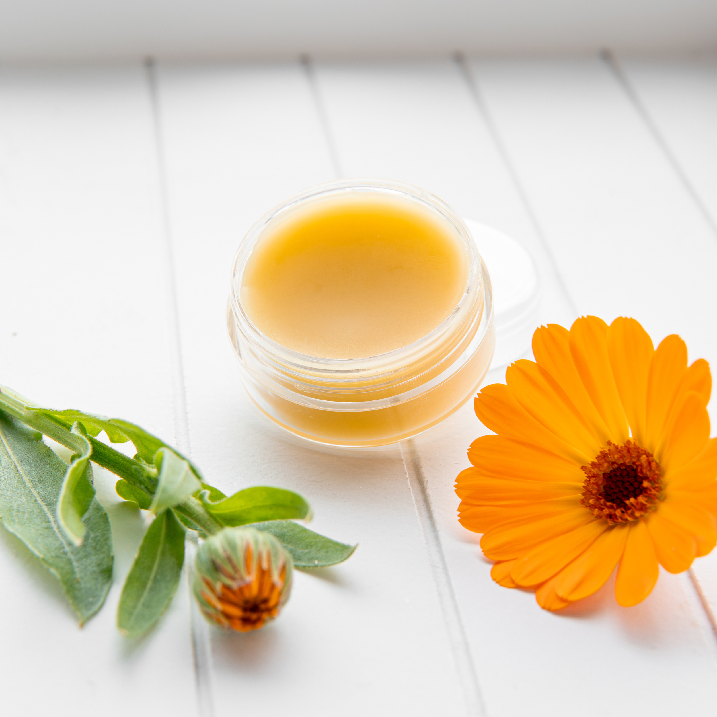 Calendula Balm.png