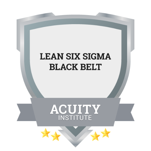 Lean Six Sigma Black Belt