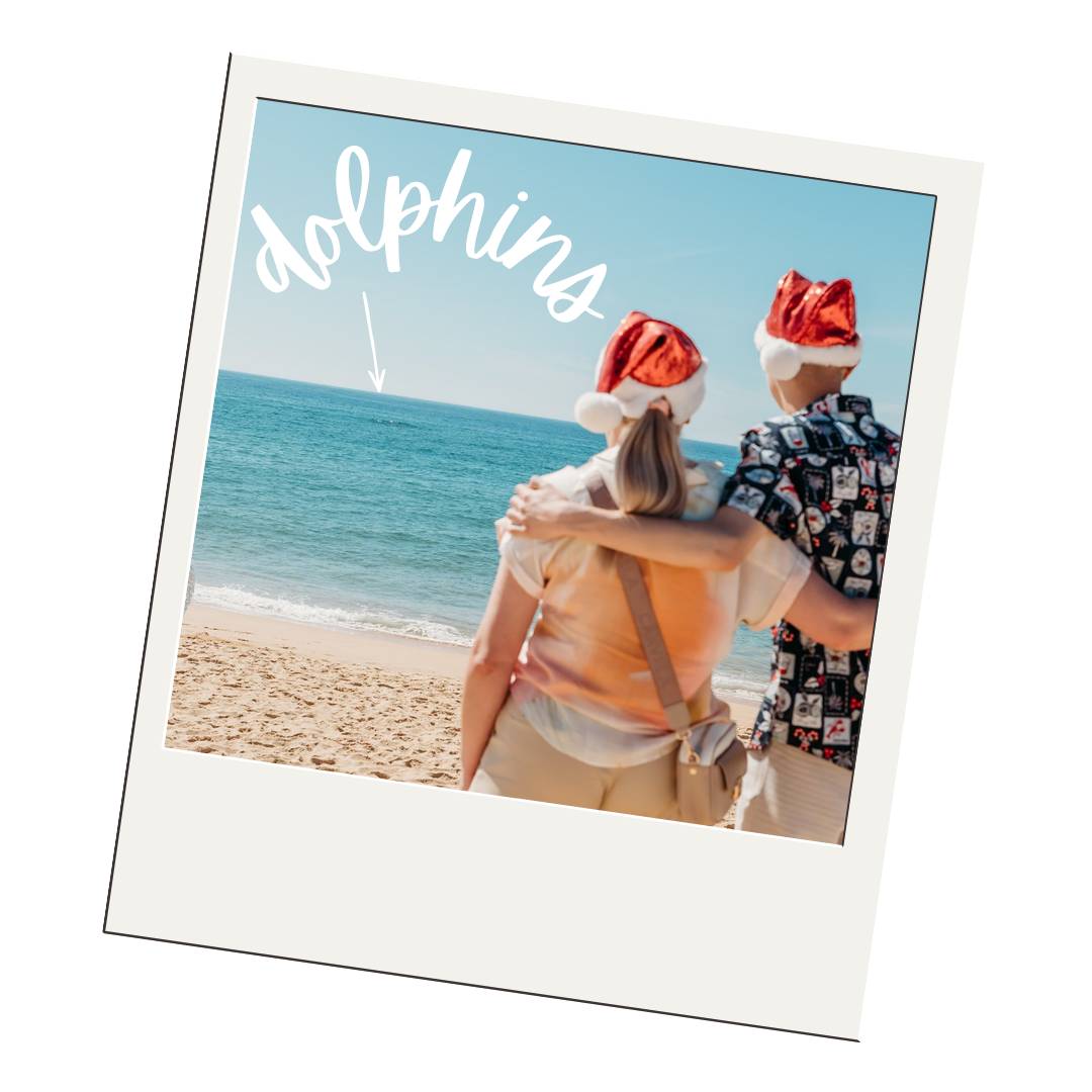 Two people wearing Santa hats stand on a beach, watching dolphins playing in the ocean at North Shelly Beach on the Central Coast.