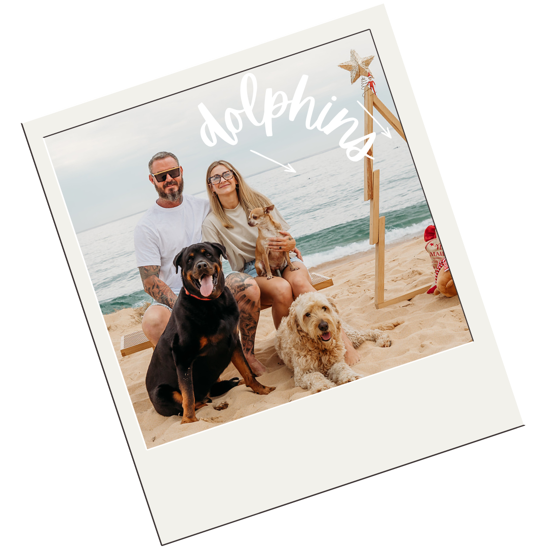 A smiling couple with two dogs on a sandy beach, with an ocean in the background, and a wooden star-decorated holiday sign with dolphins swimming in the ocean behind them.