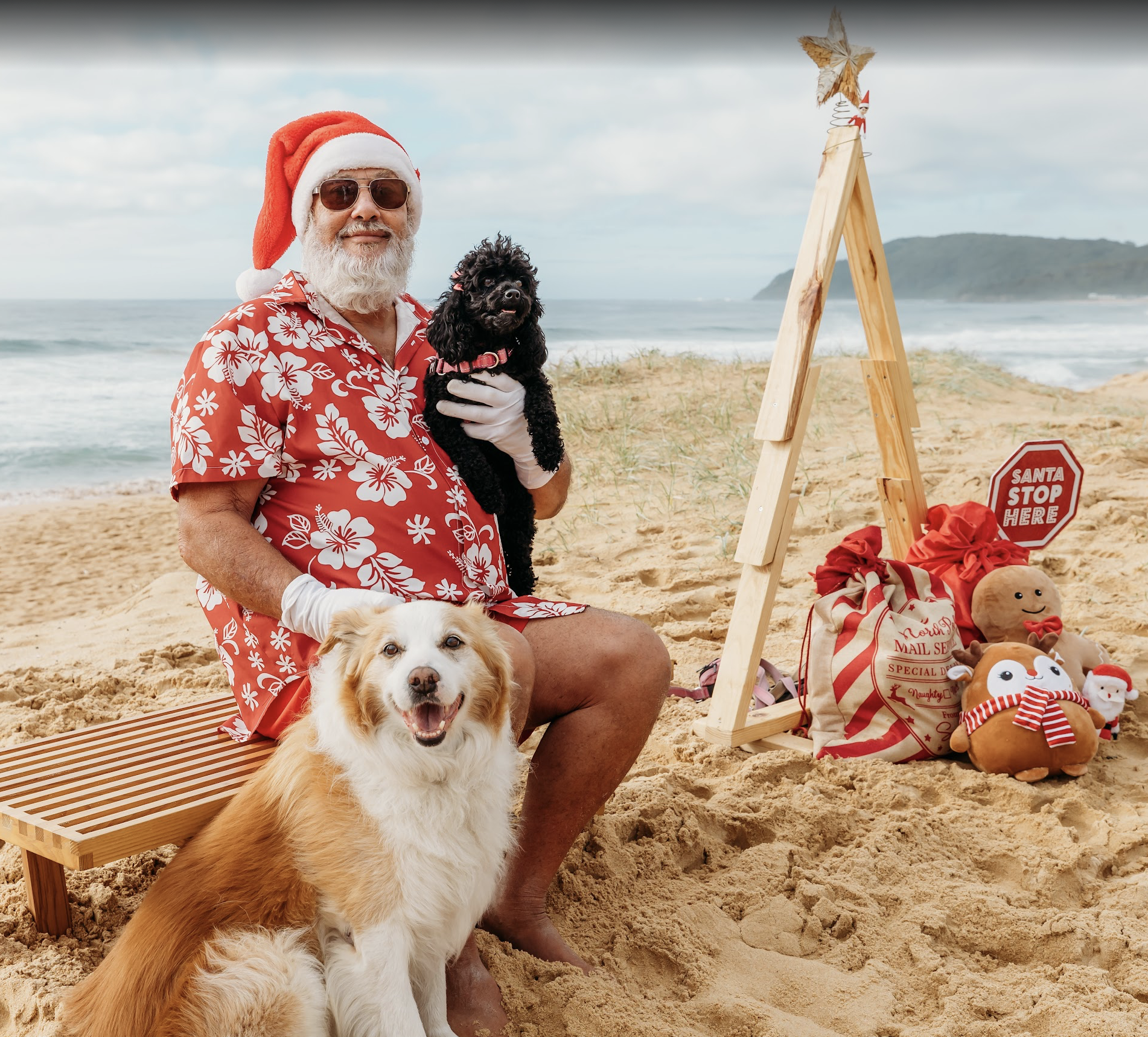 A man wearing sunglasses, a Santa hat, and a red Hawaiian shirt holding a black poodle on a beach. A golden retriever is sitting in front of him. Christmas decorations, including a small holiday tree and gifts, are set up on the sand with an ocean and distant hills in the background.