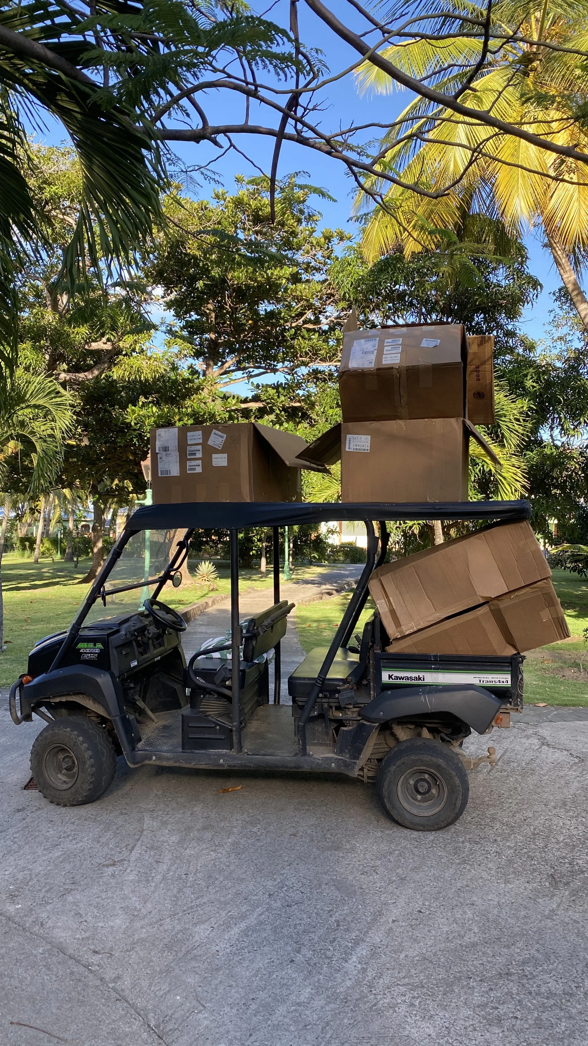 The most efficient form of island transport!