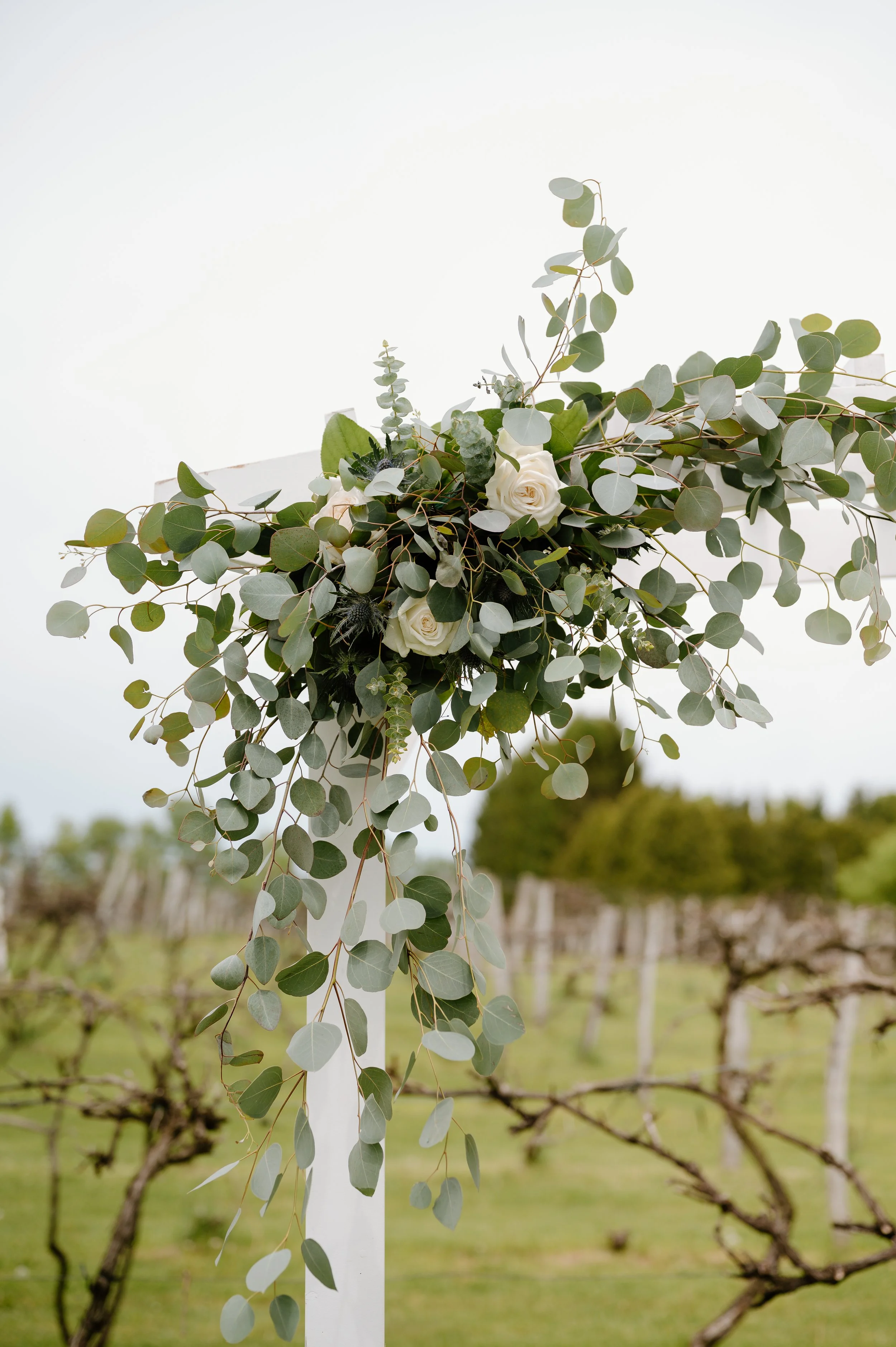 Arbor Spray