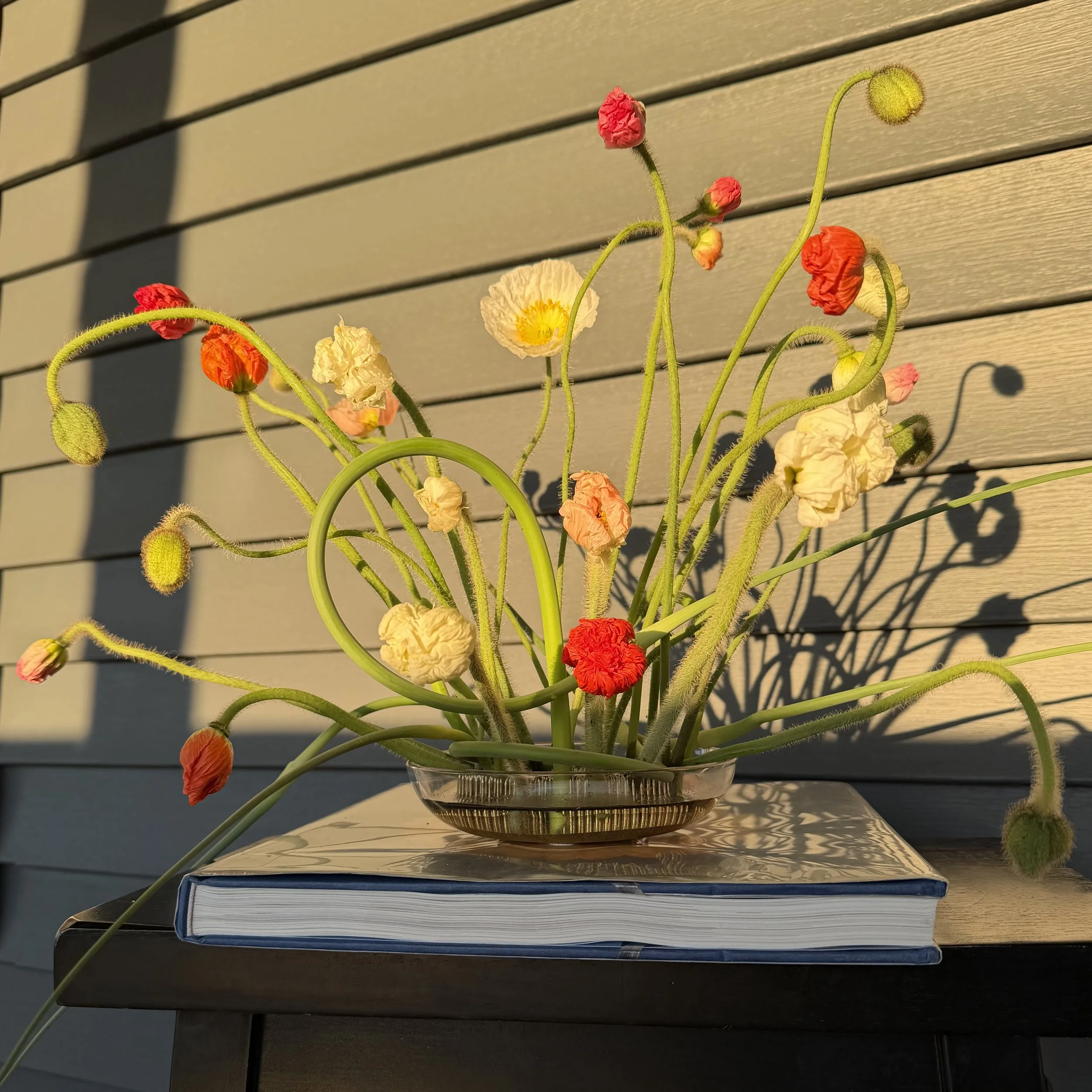 Ikebana Arrangement - Clear Bowl with Flower Frog ($55)