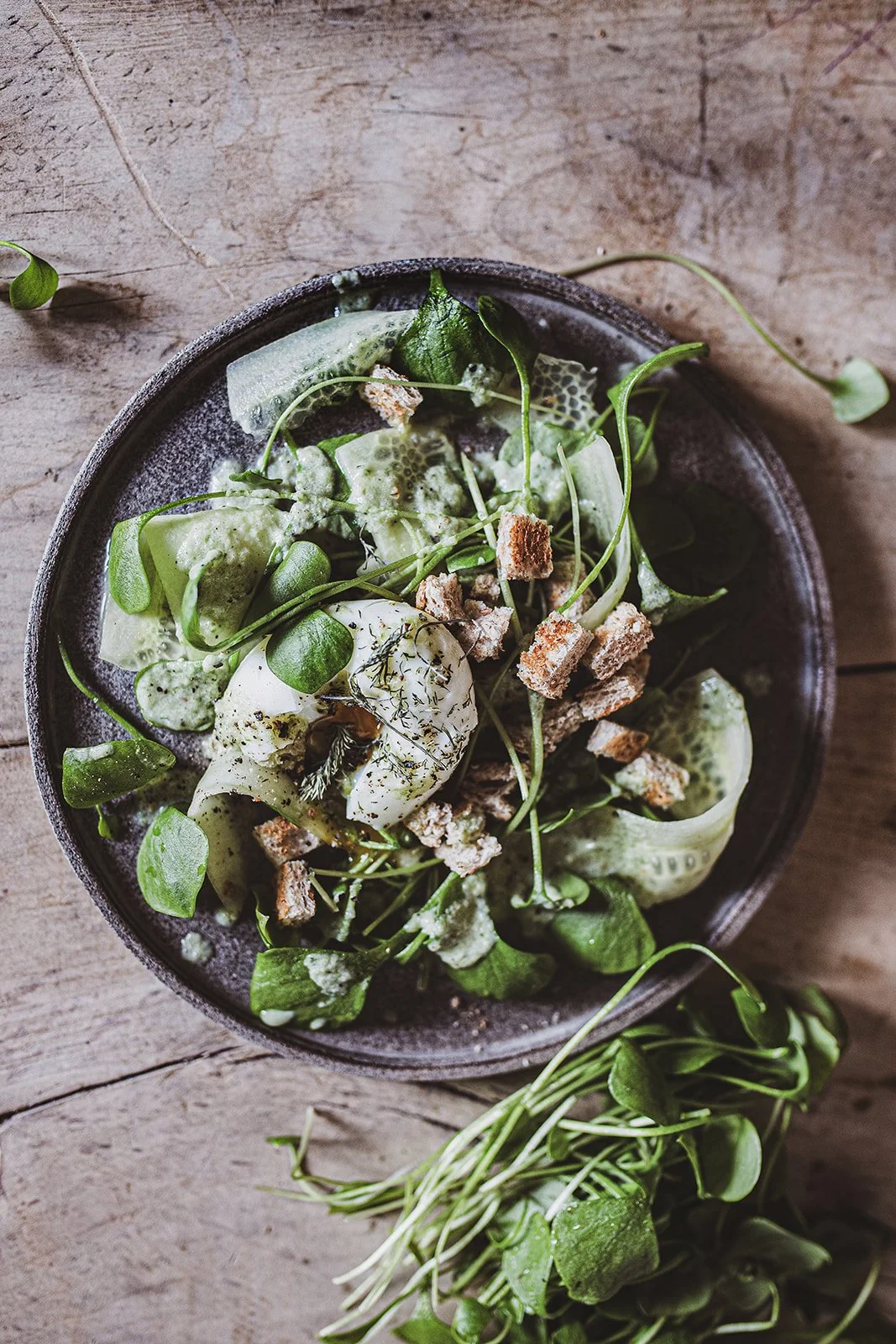Wintersalat - Portulak mit Ei &amp; geröstetem Brot