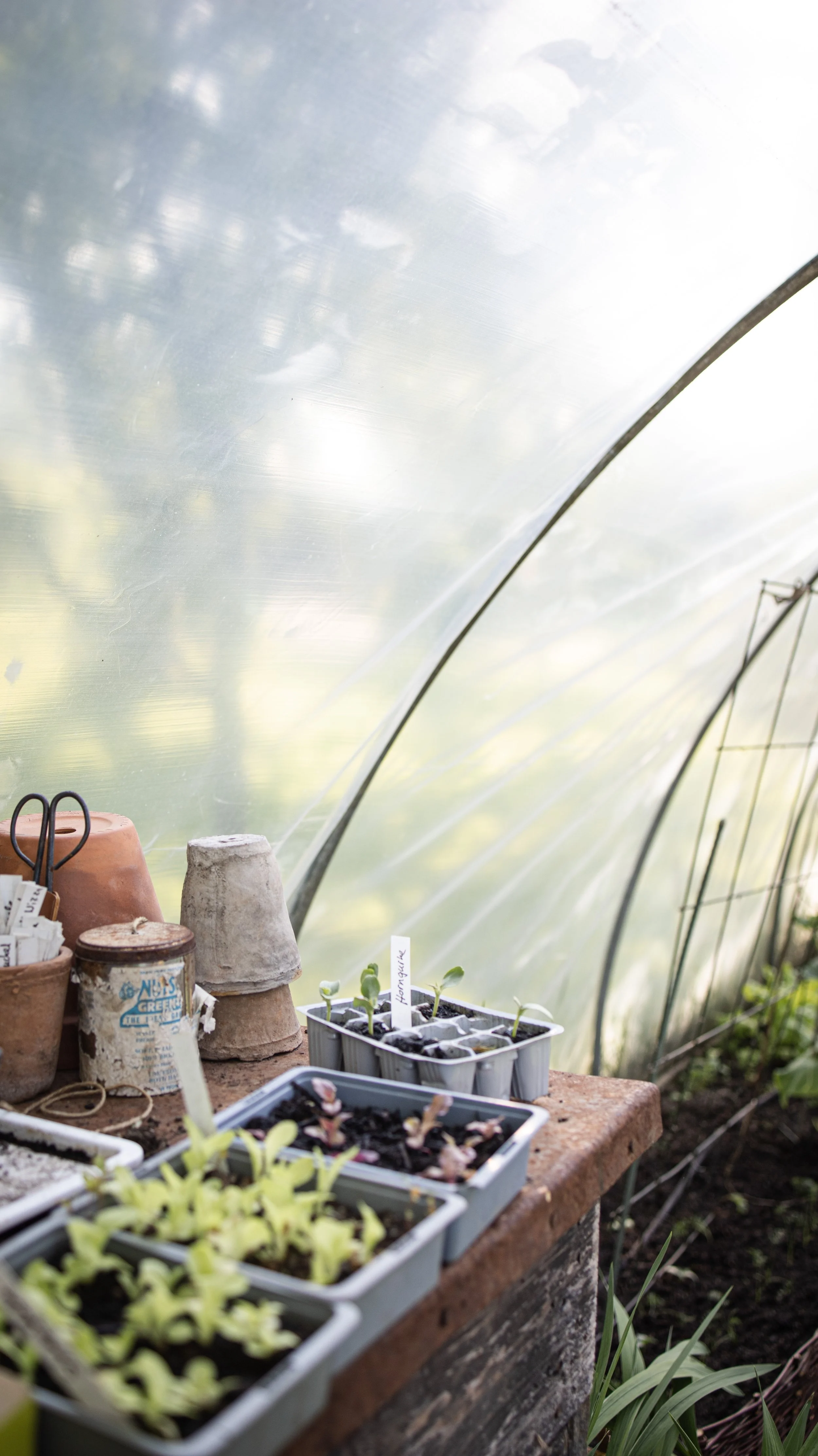 Der Küchengarten im Frühling