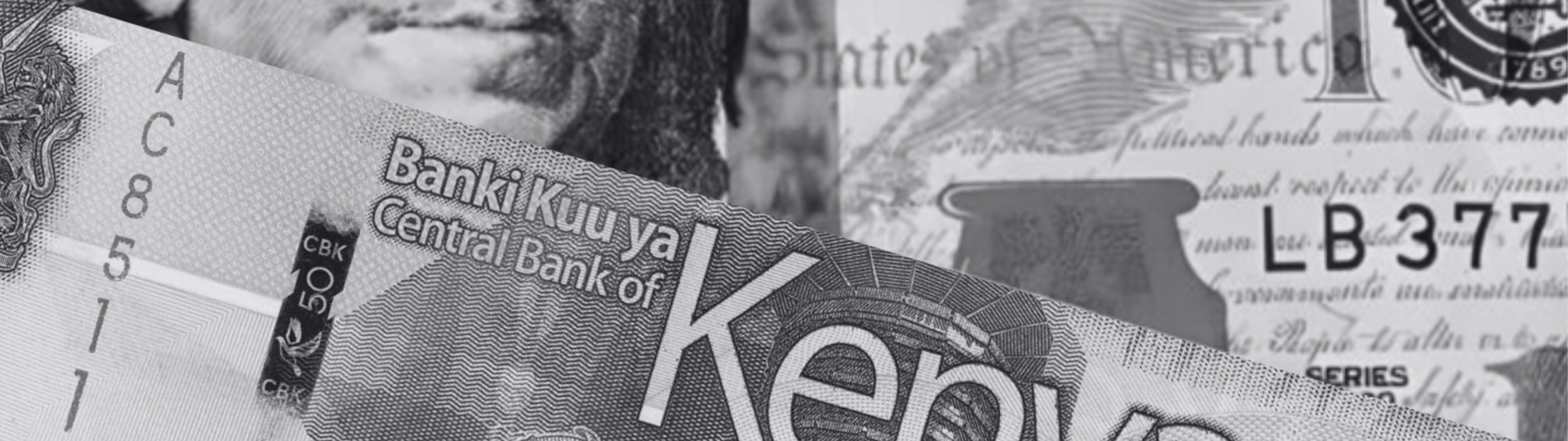 Seizing the Fiscal Window: How a Weakening US Dollar is Reshaping East ...