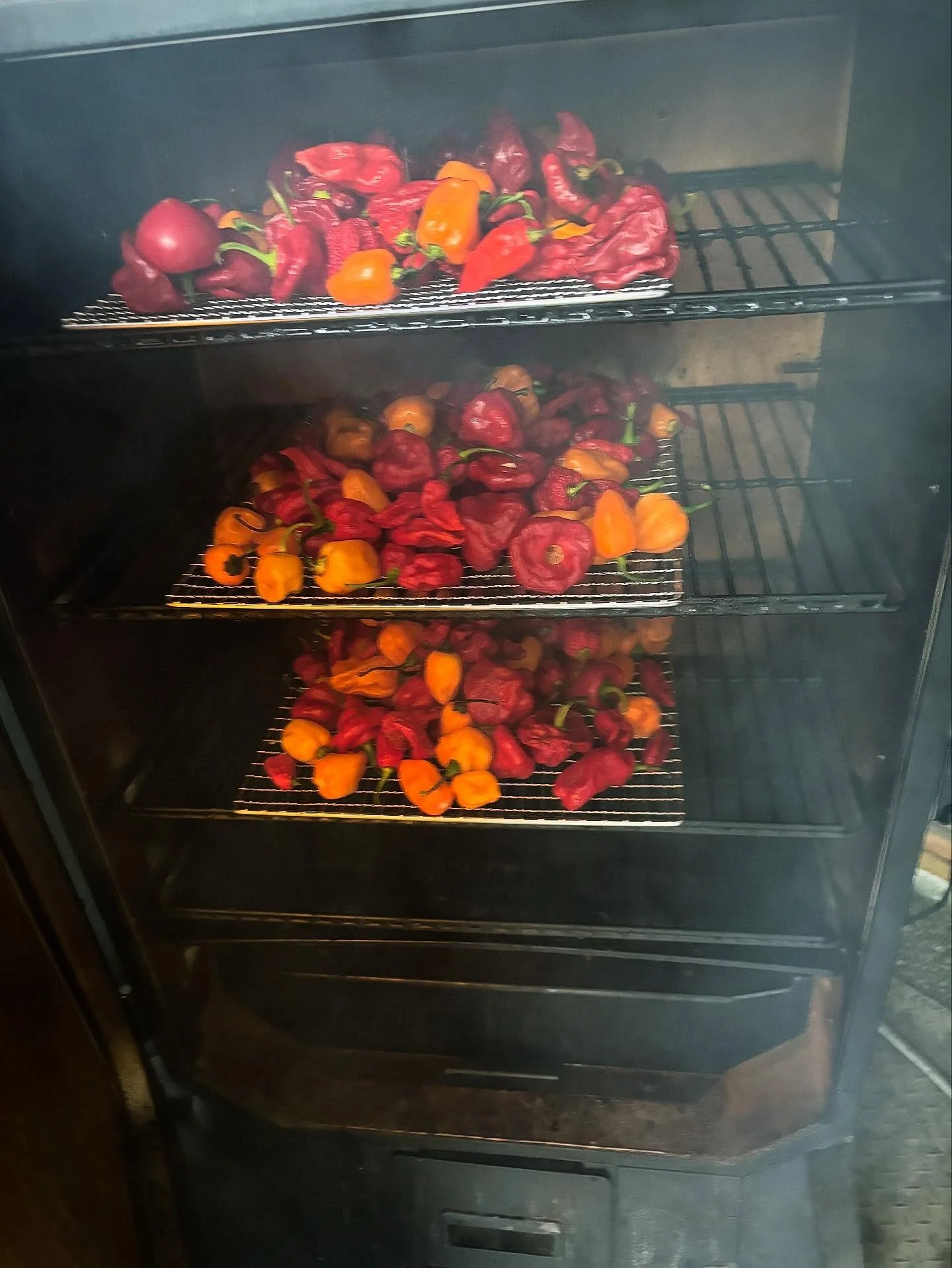 smokin&rsquo; hot peppers 🌶️ 🥵