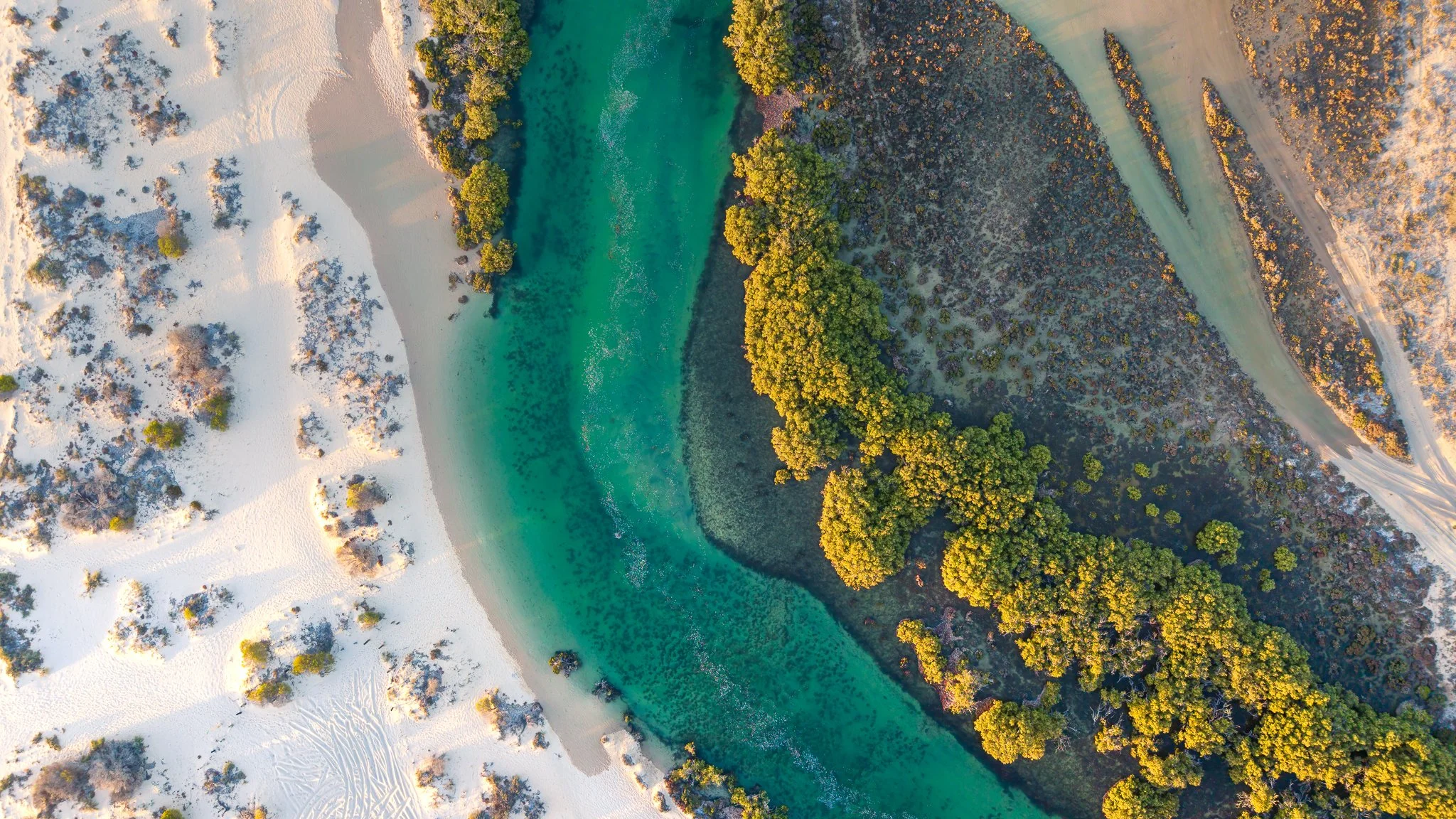 Shark Bay, WA, Australia