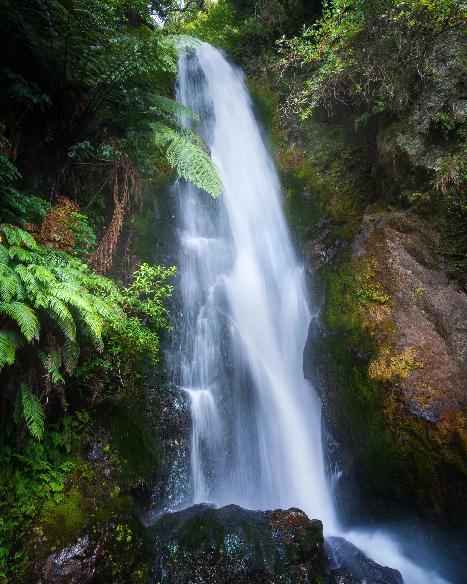 Te Wairoa Falls, New Zealand